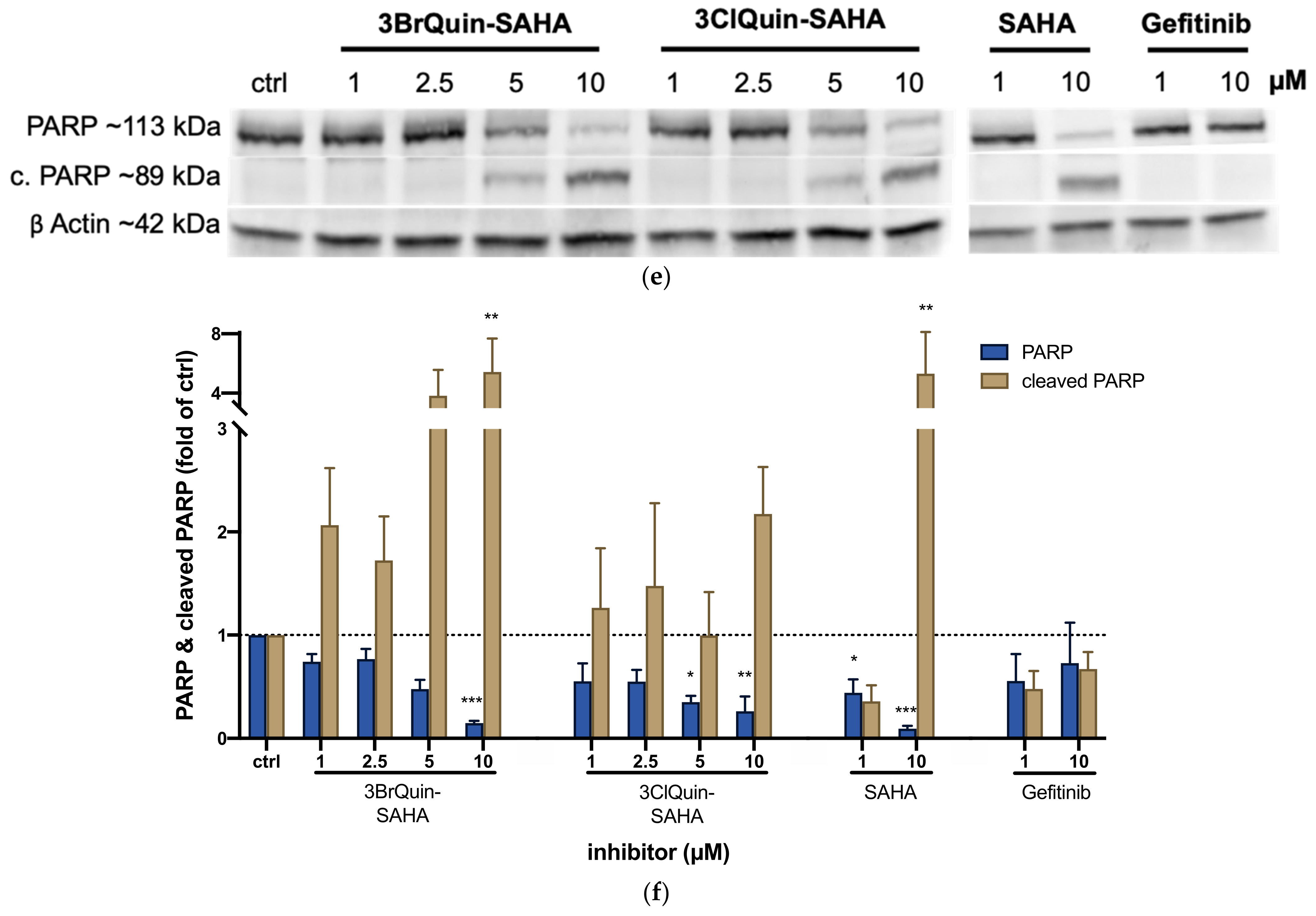 Ijms 22 08432 g006b 550