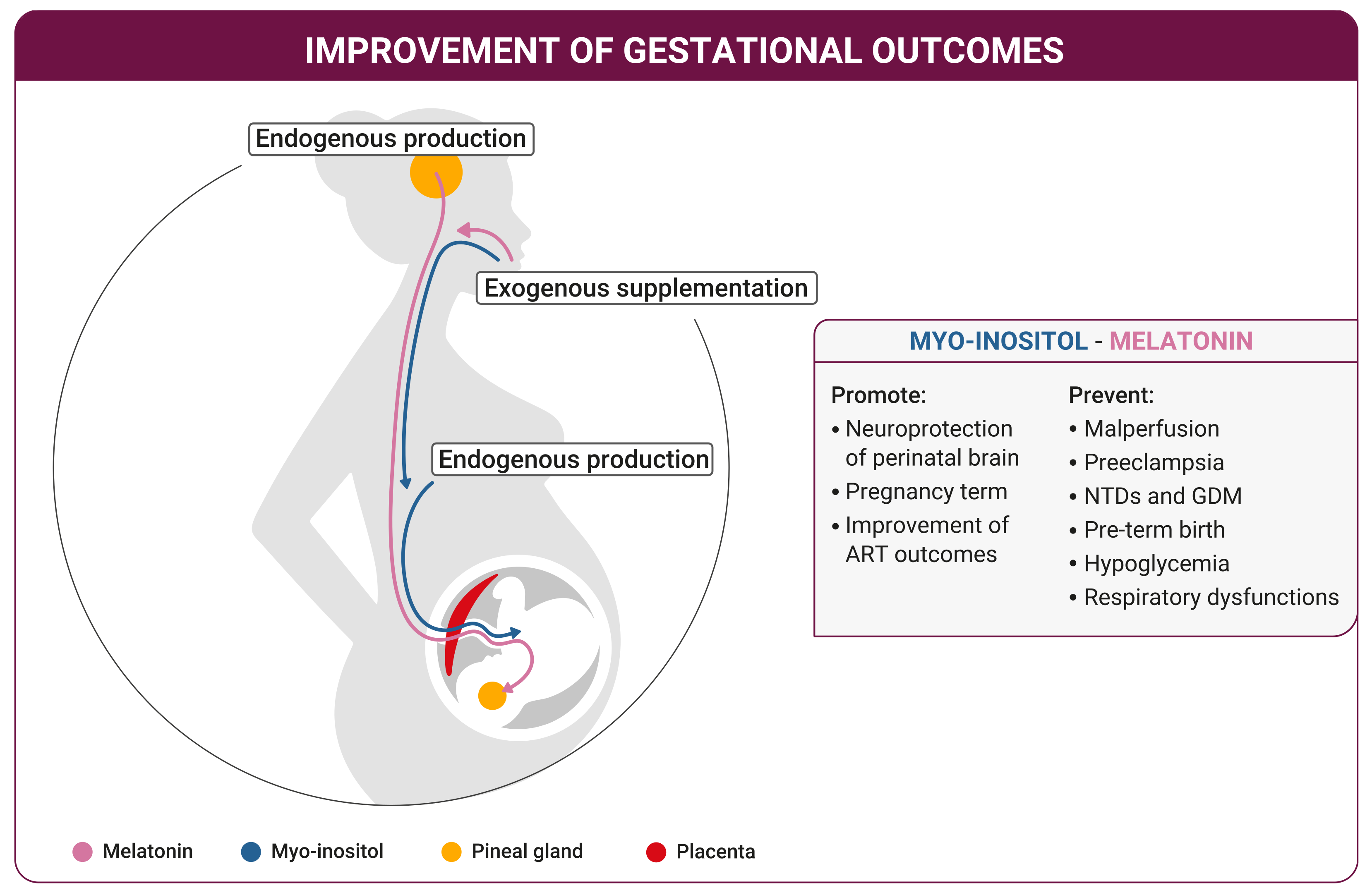 Ijms 22 08433 g002 Ijms 22 08433 g002