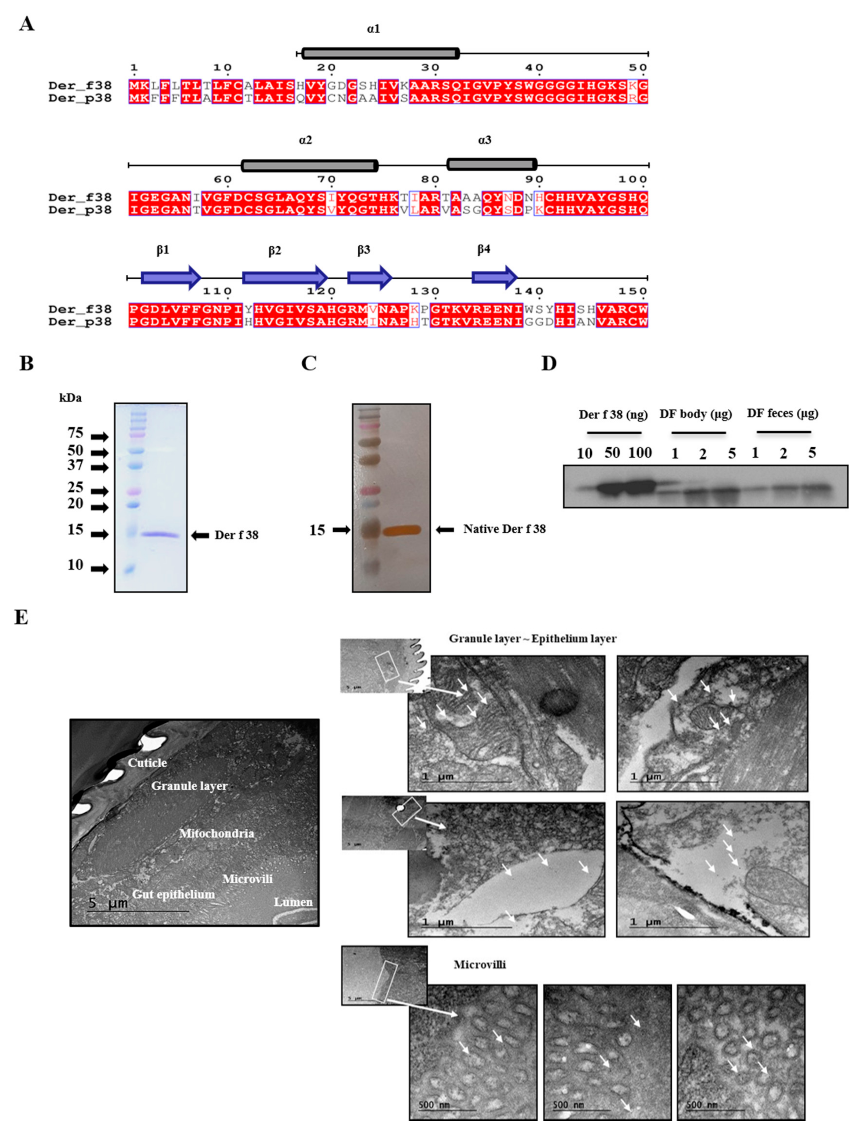 Ijms 22 08440 g001 550