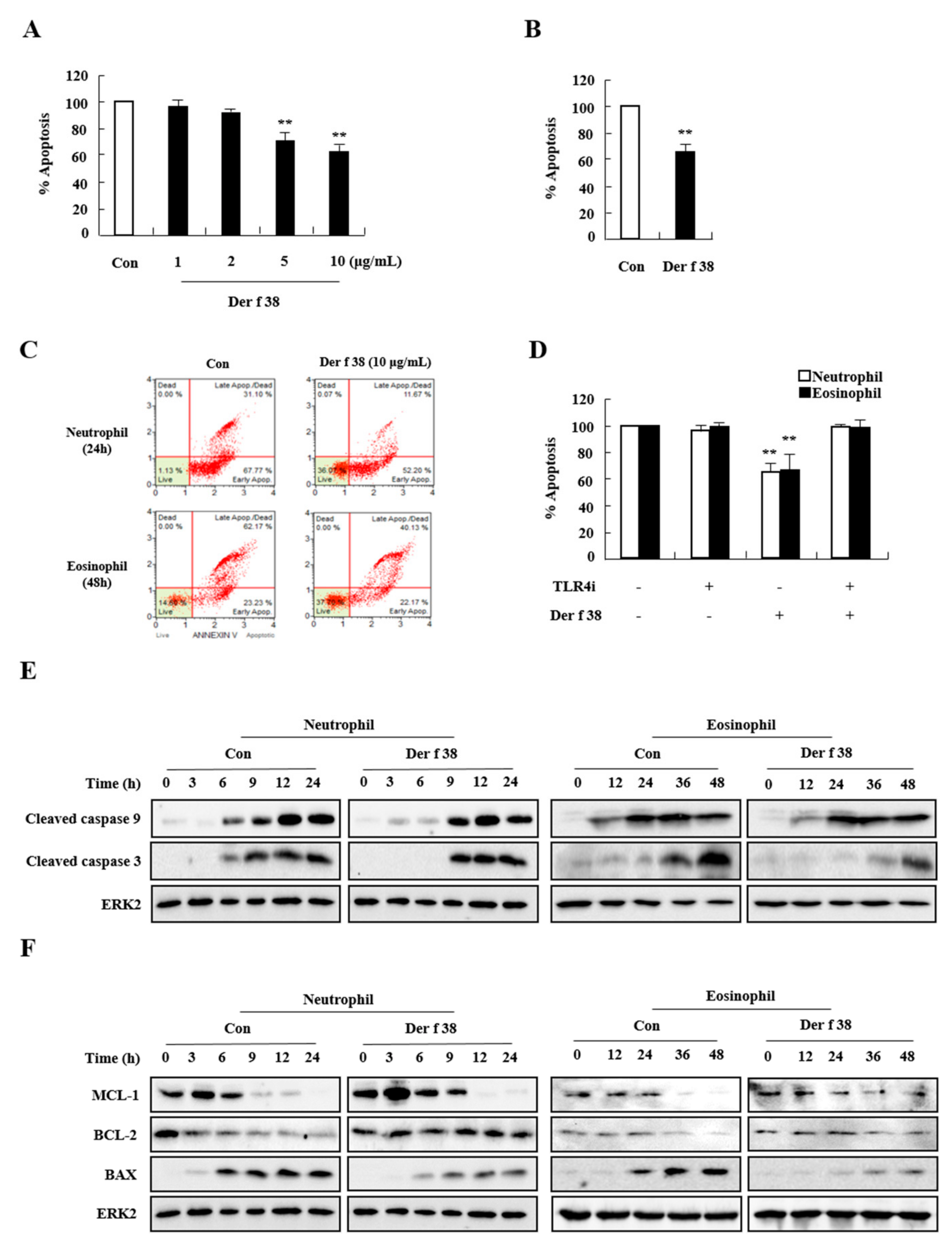 Ijms 22 08440 g006 550