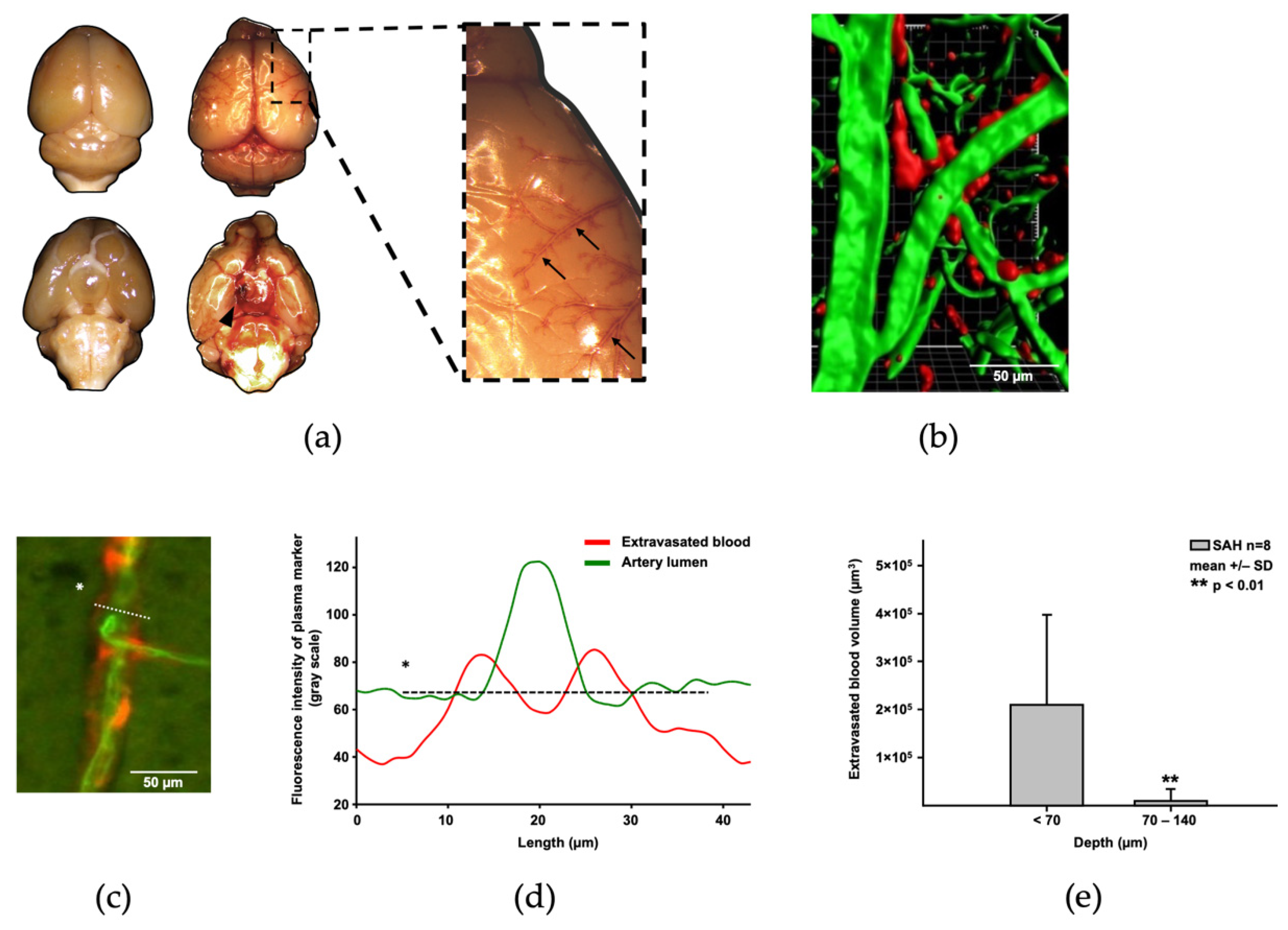 Ijms 22 08444 g002 550