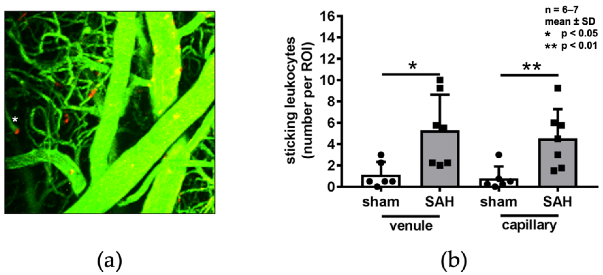 Ijms 22 08444 g005 550