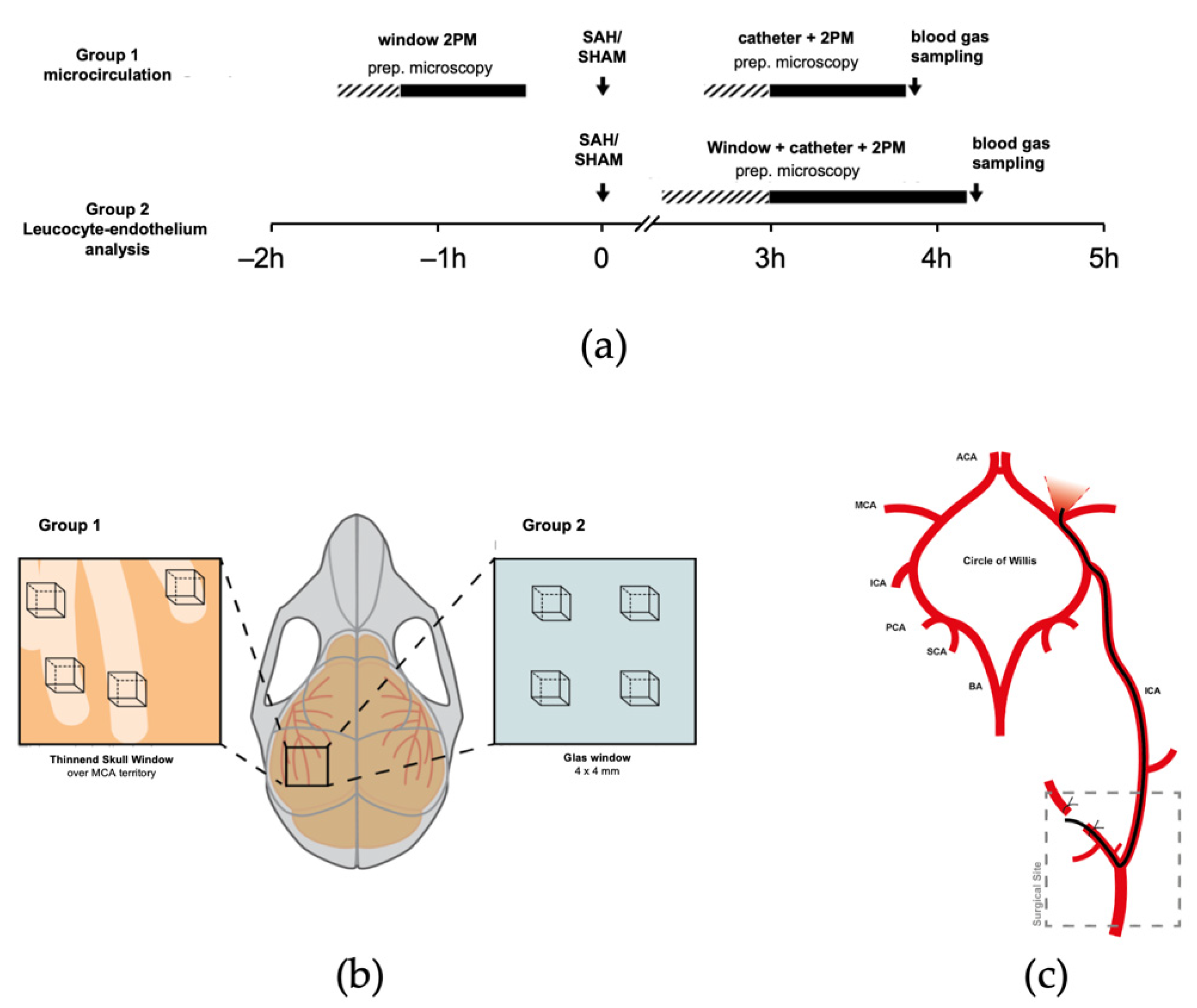 Ijms 22 08444 g006 550