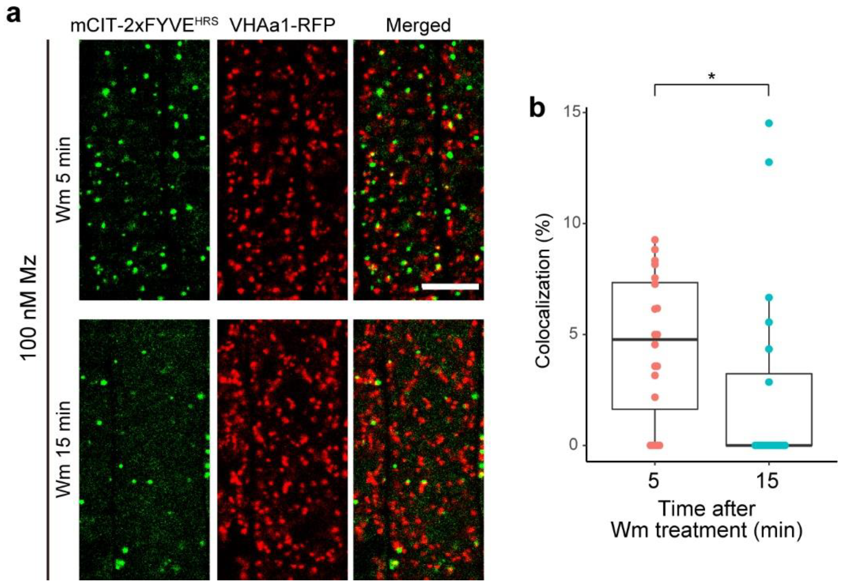Ijms 22 08450 g006 Ijms 22 08450 g006