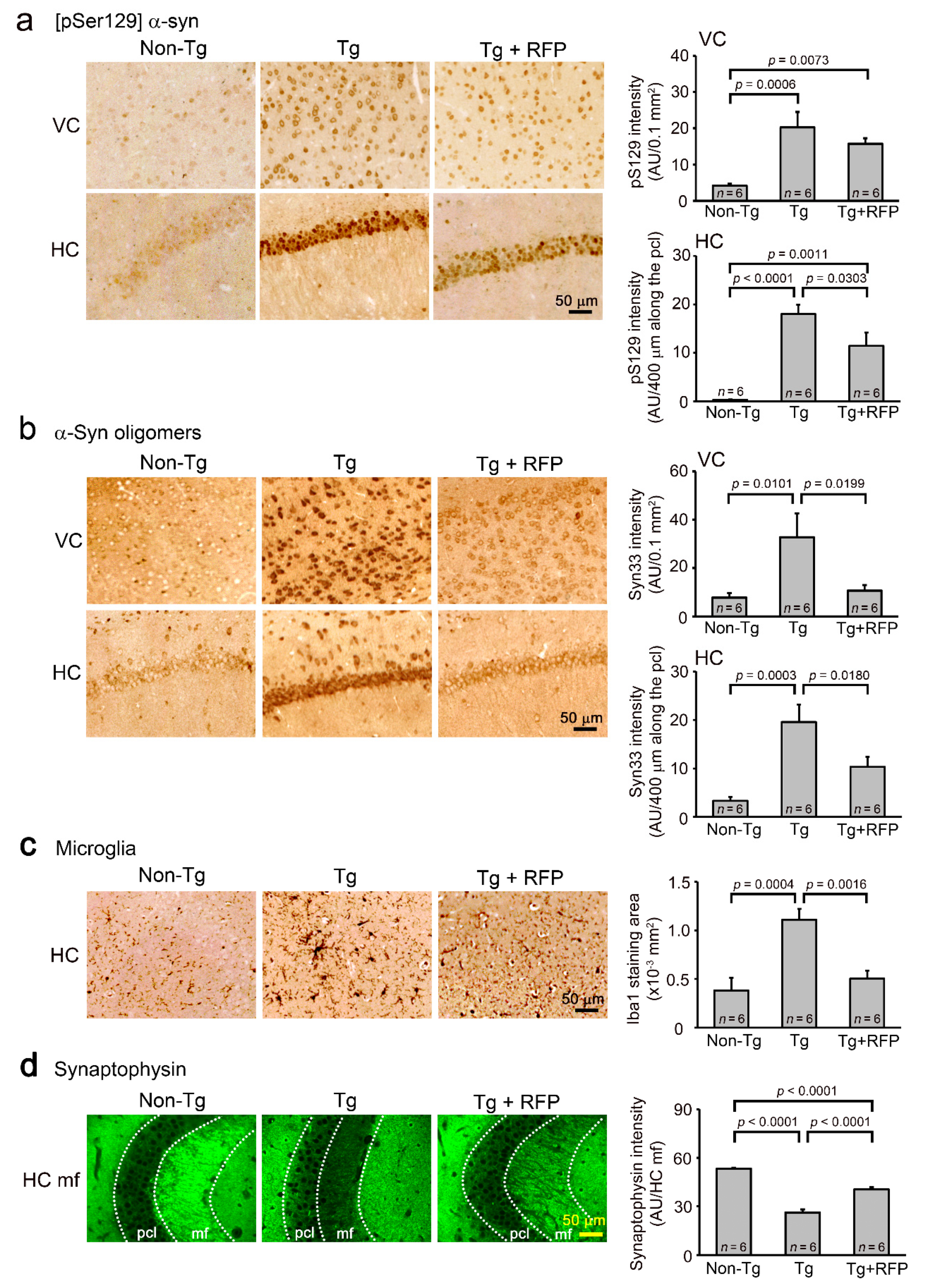 Ijms 22 08453 g005 550