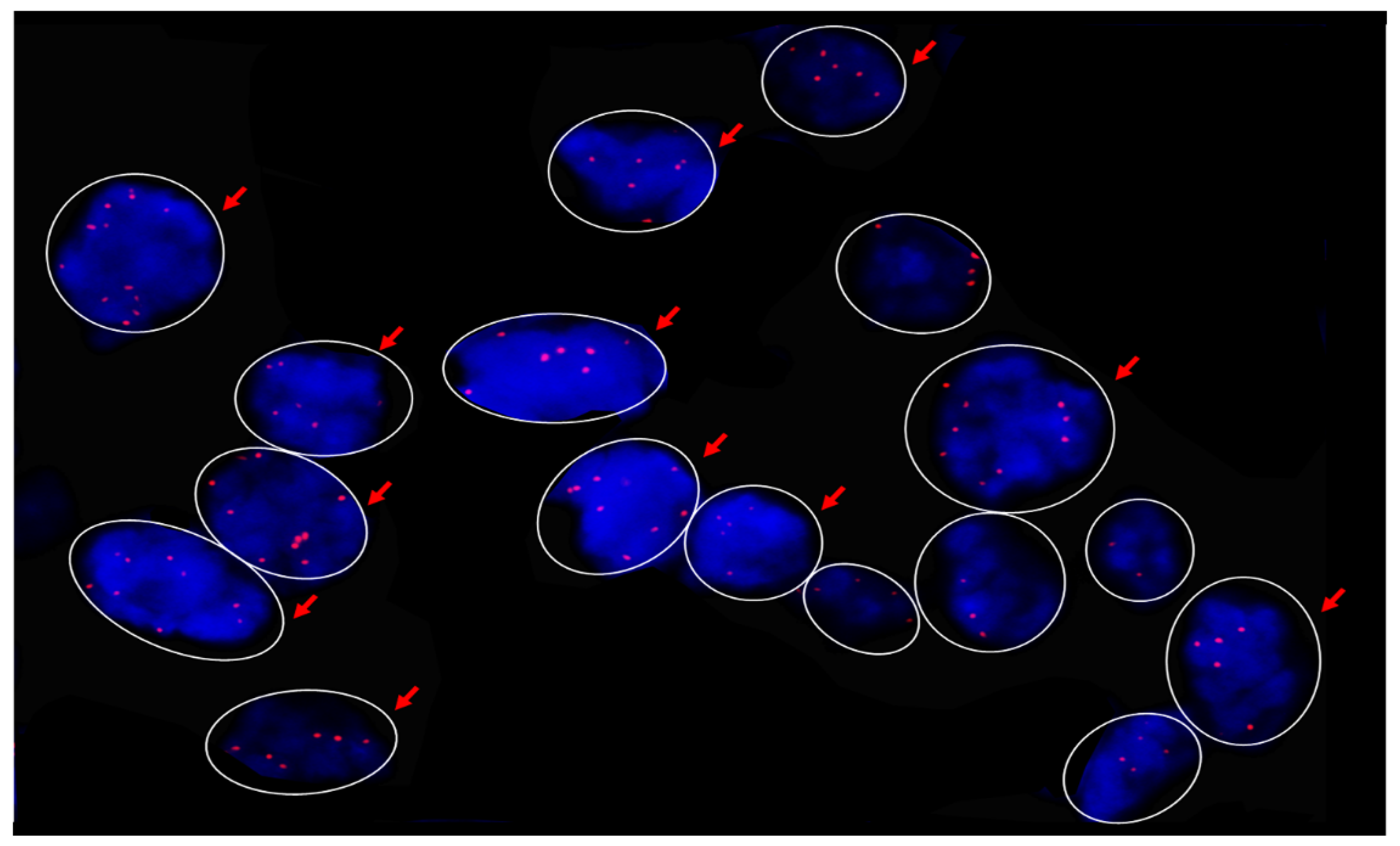 Ijms 22 08454 g001 Ijms 22 08454 g001