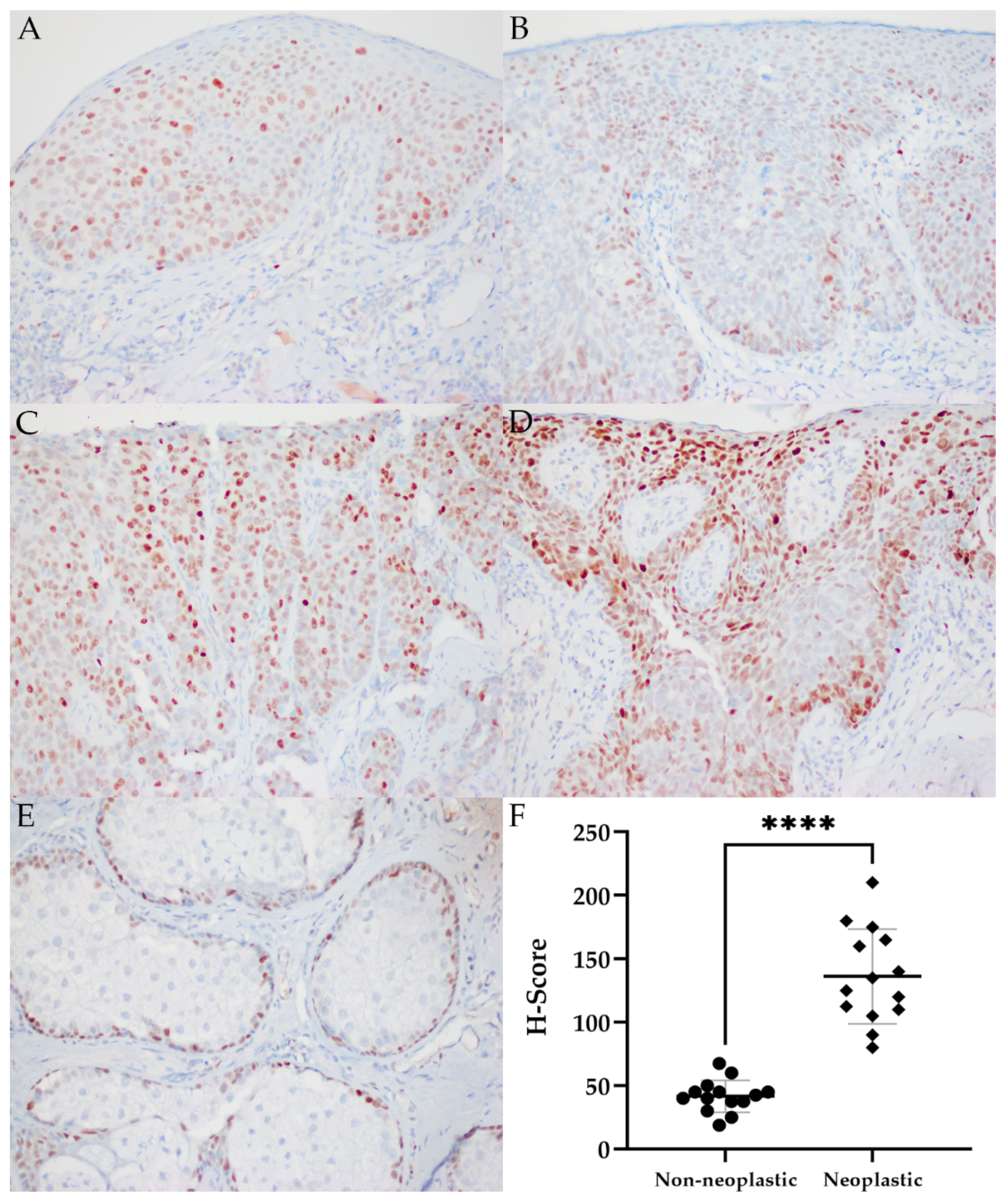 Ijms 22 08454 g002 Ijms 22 08454 g002