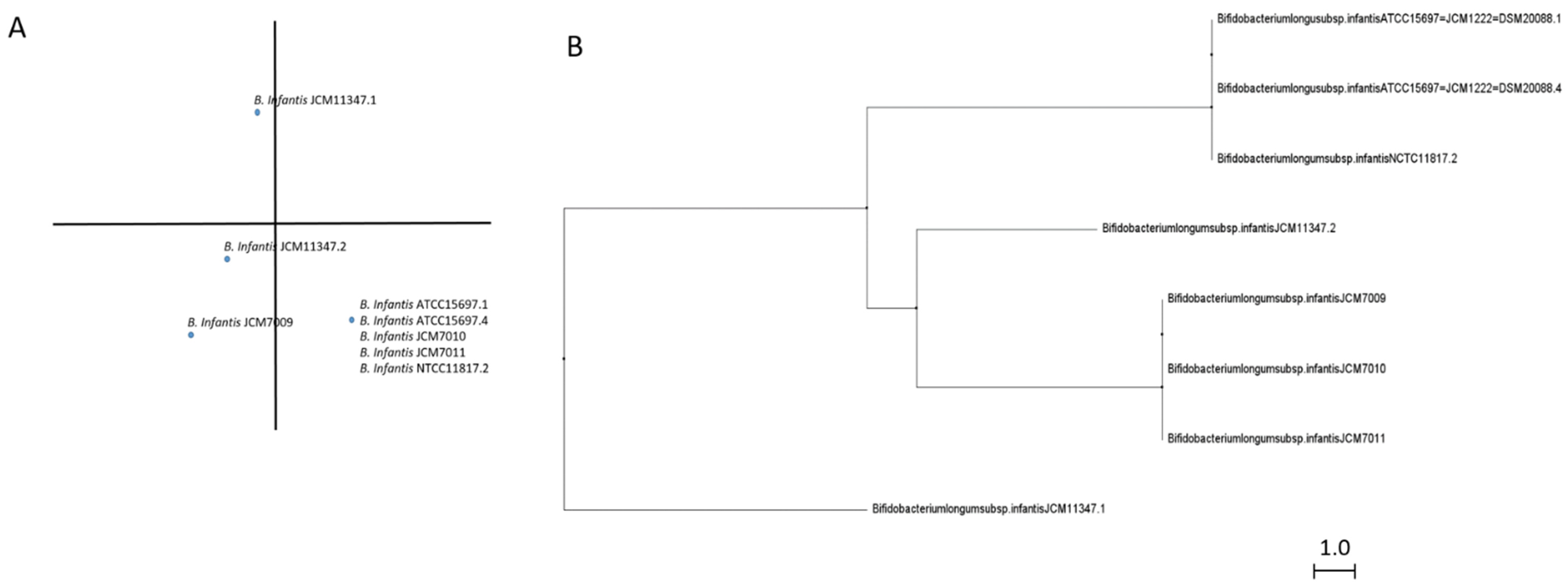 Ijms 22 08462 g004 550