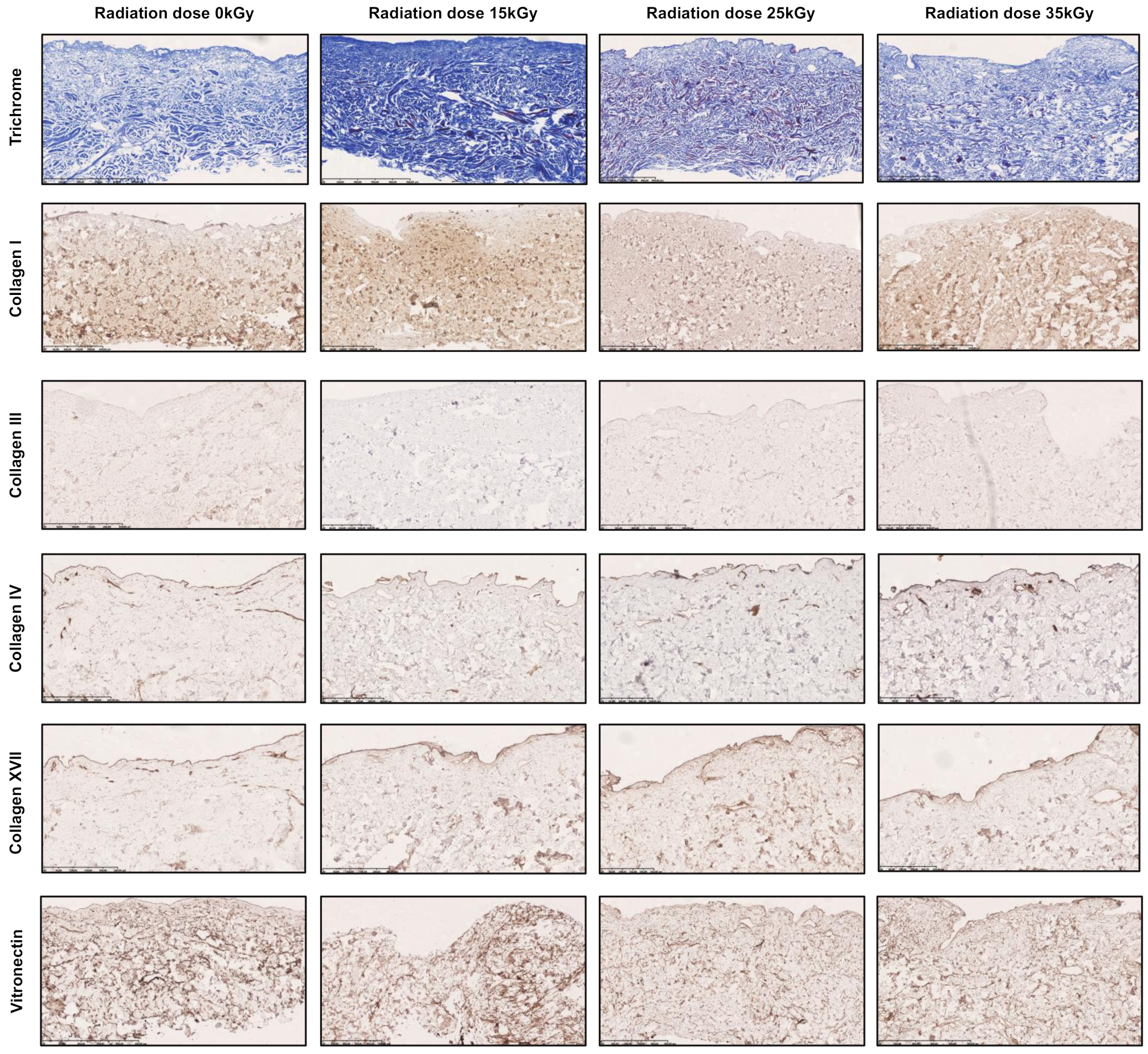 Ijms 22 08467 g001 550