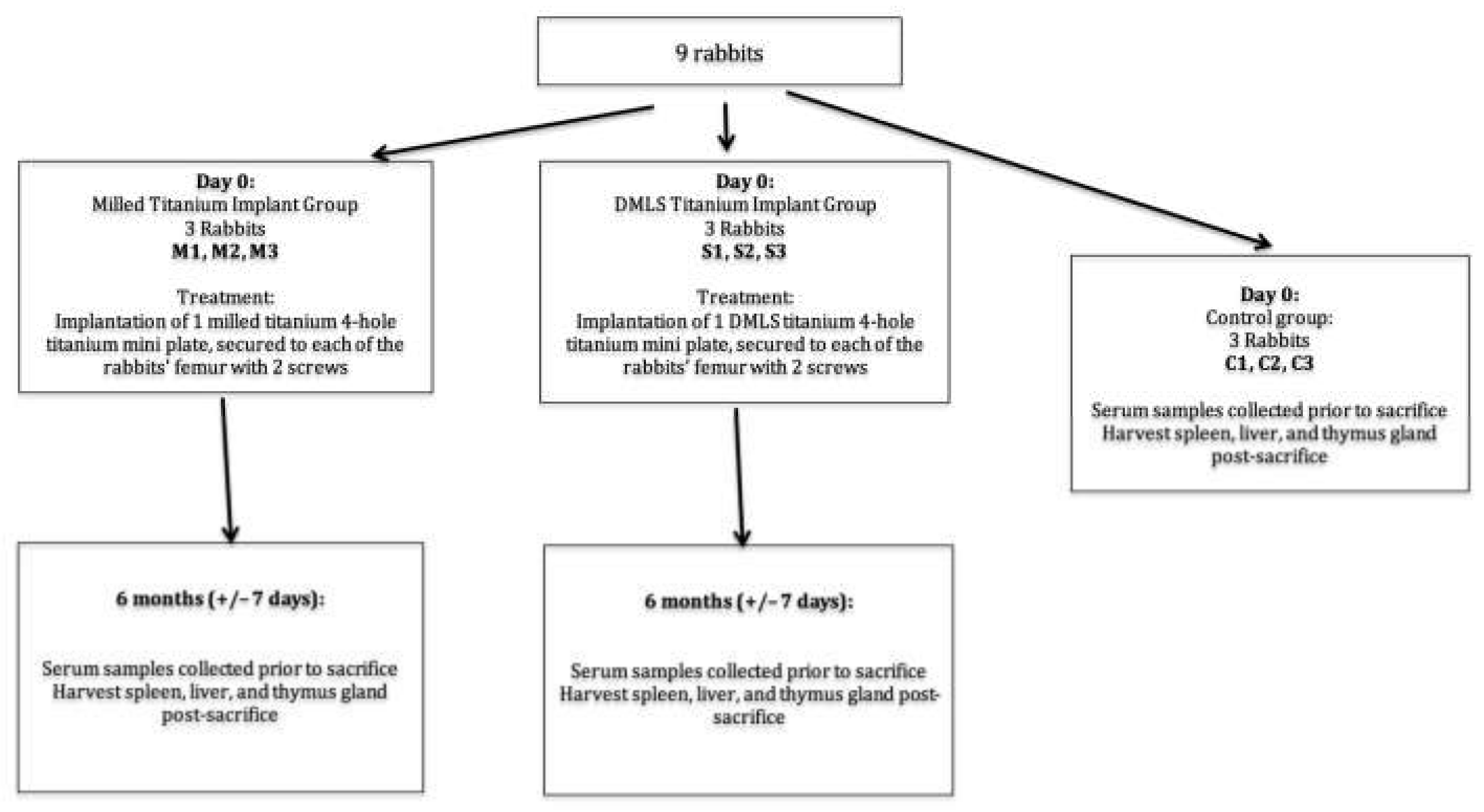 Ijms 22 08480 g004 550