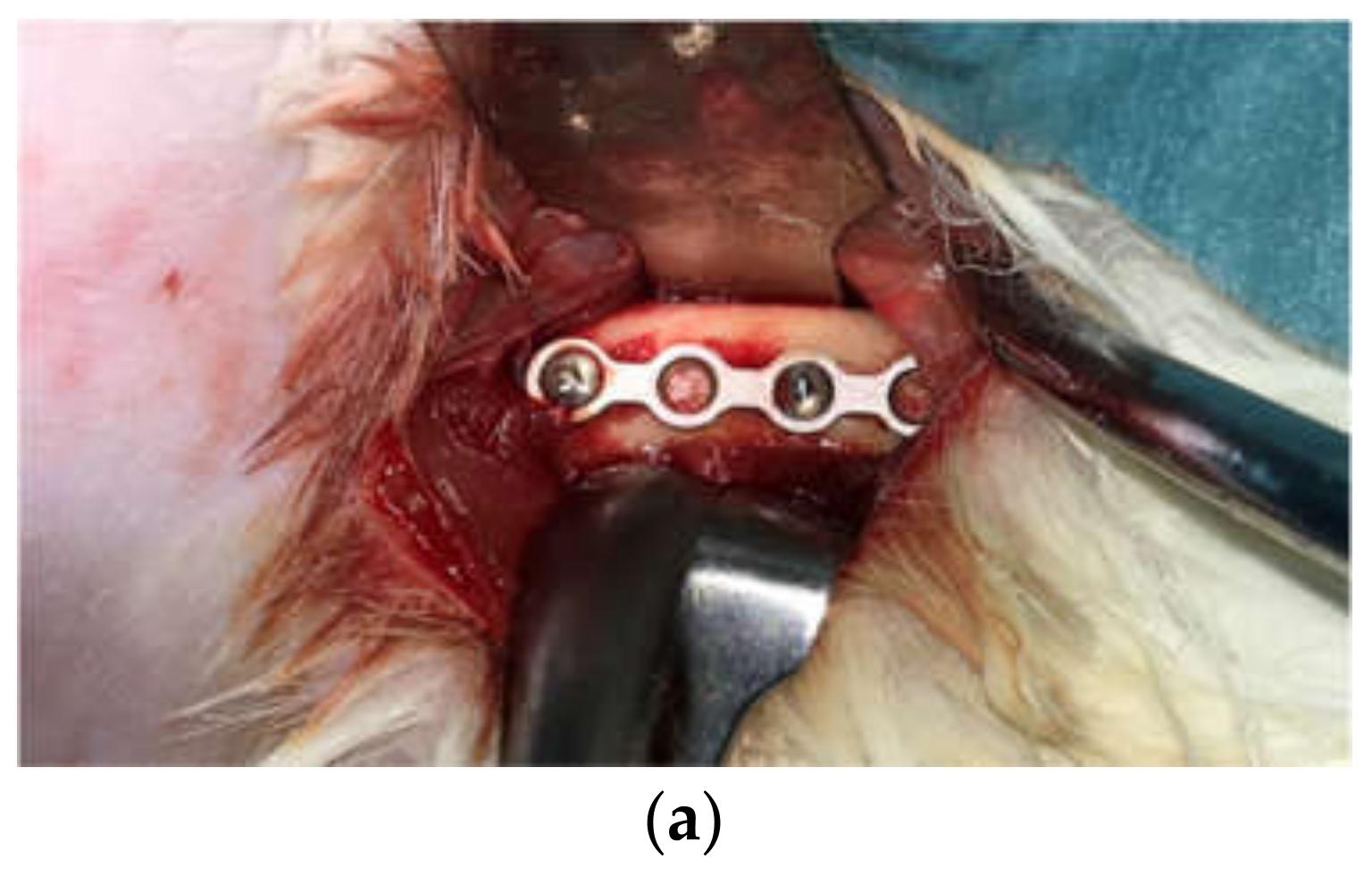 Ijms 22 08480 g005a 550