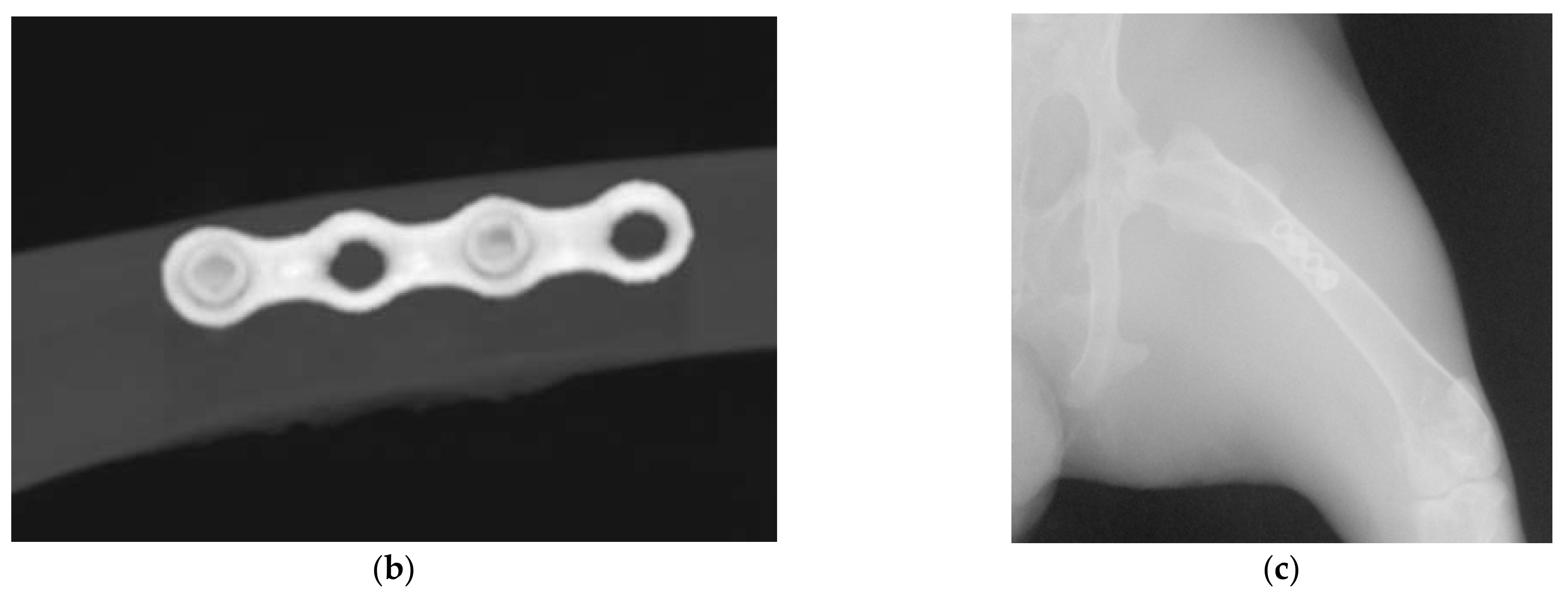 Ijms 22 08480 g005b 550