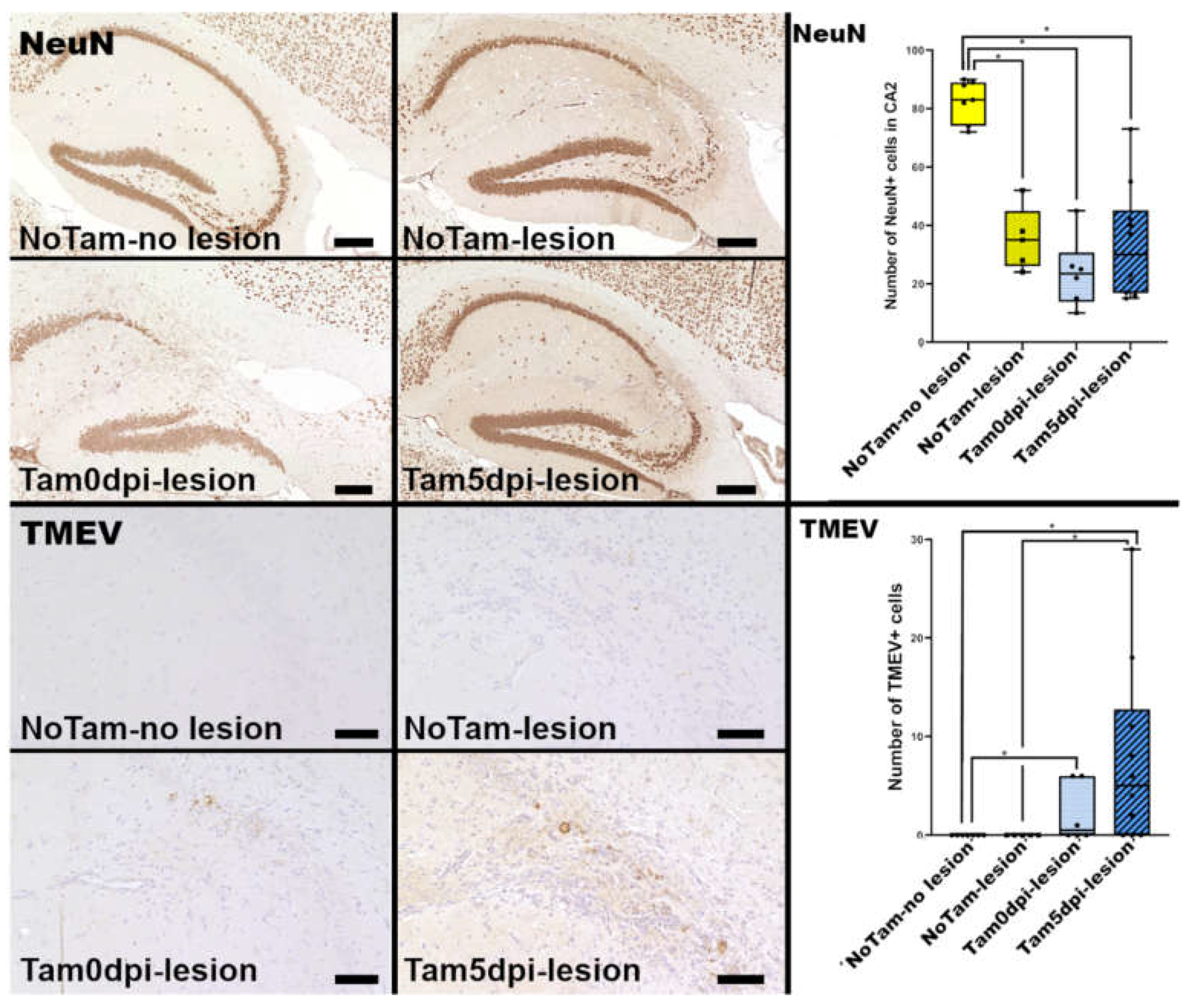 Ijms 22 08486 g001 550