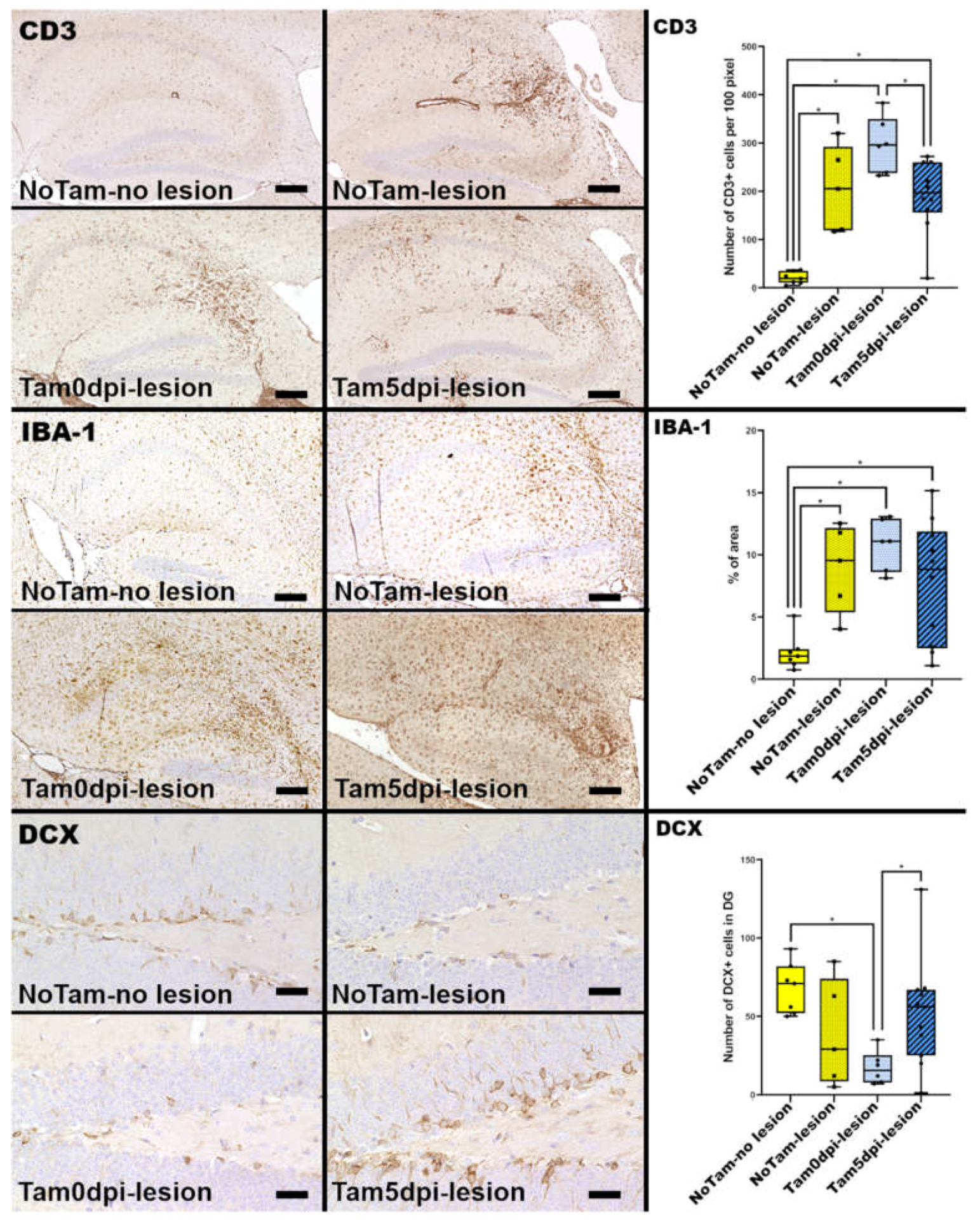 Ijms 22 08486 g002 550