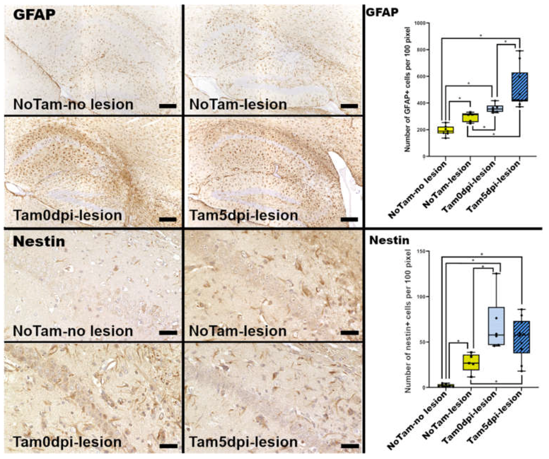 Ijms 22 08486 g003 550