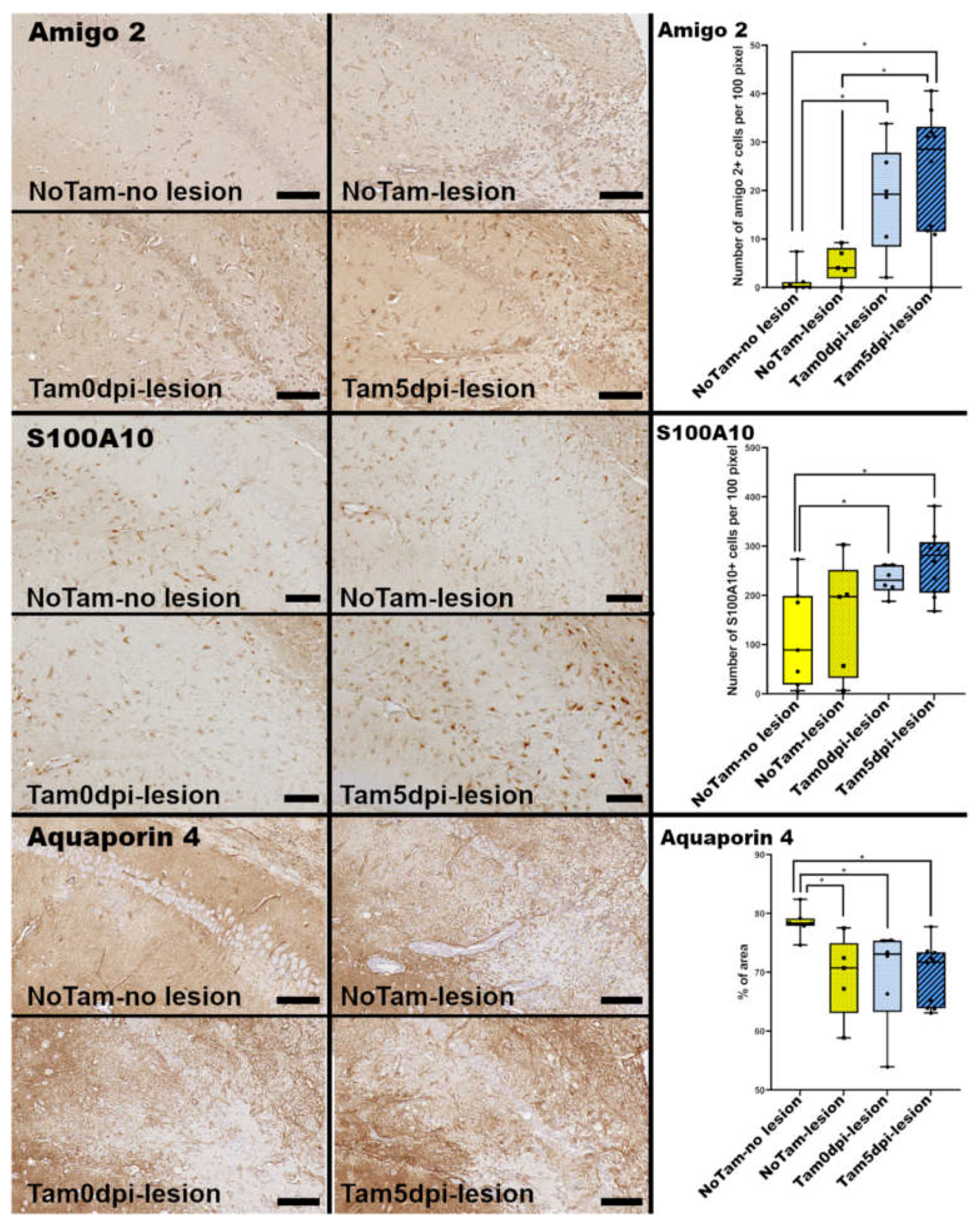 Ijms 22 08486 g004 550
