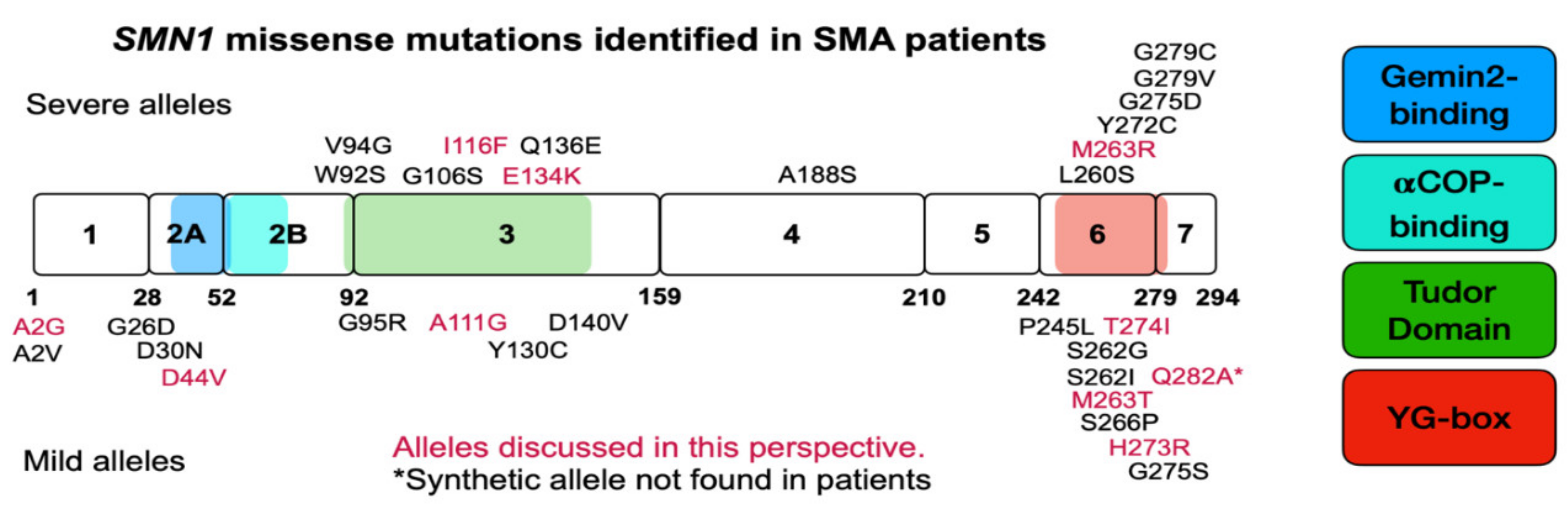 Ijms 22 08494 g002 Ijms 22 08494 g002