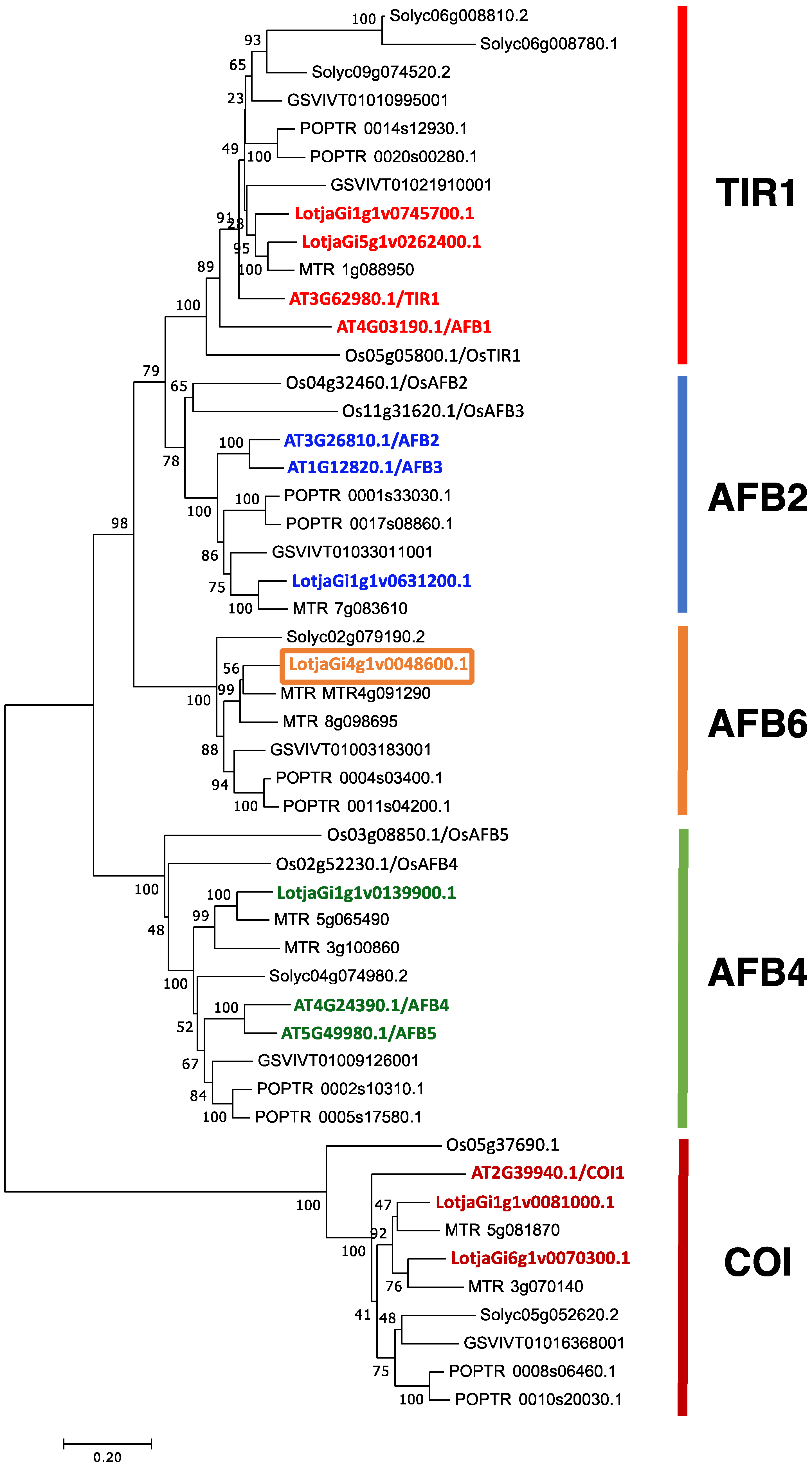 Ijms 22 08495 g001 550