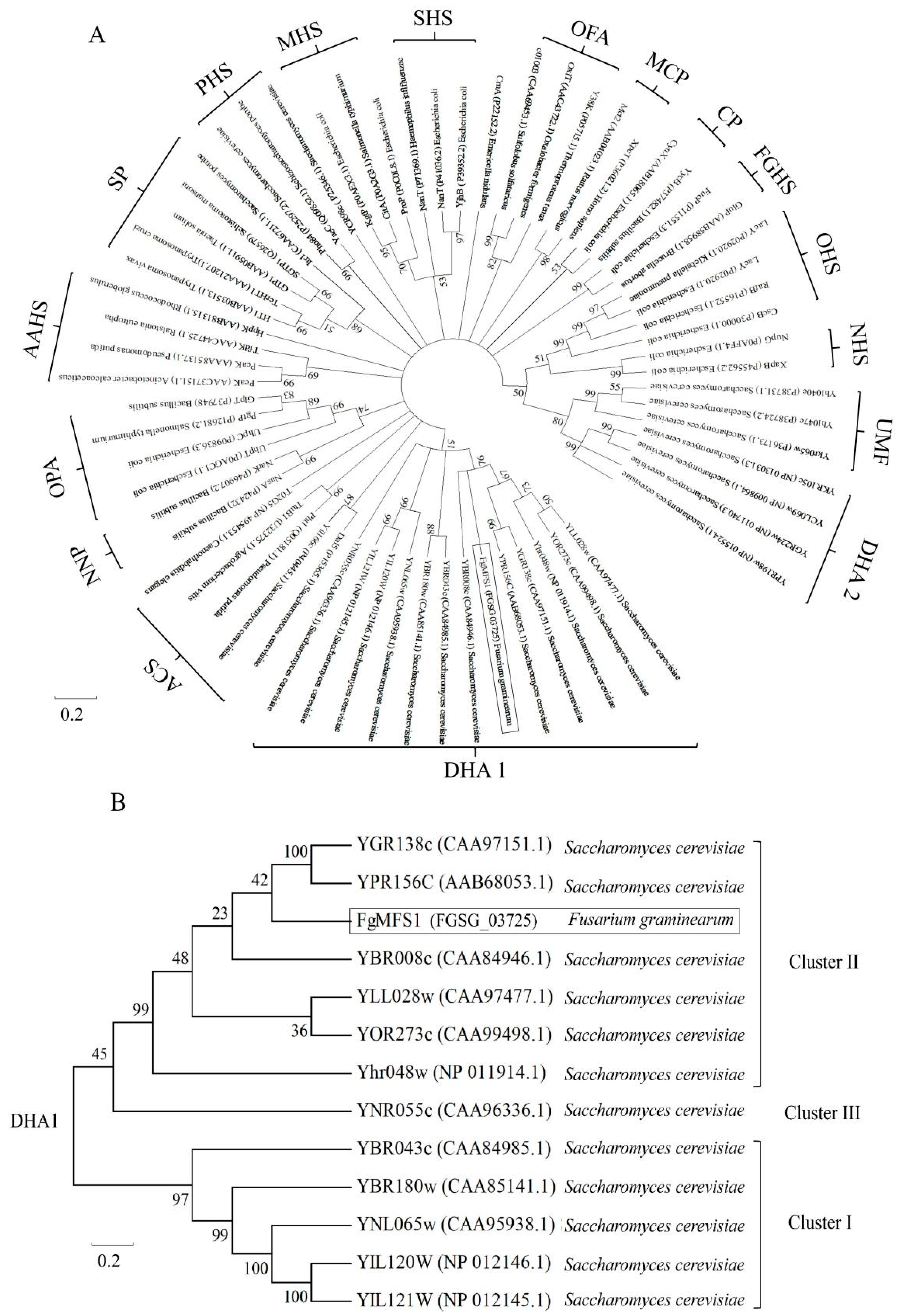 Ijms 22 08497 g003 550