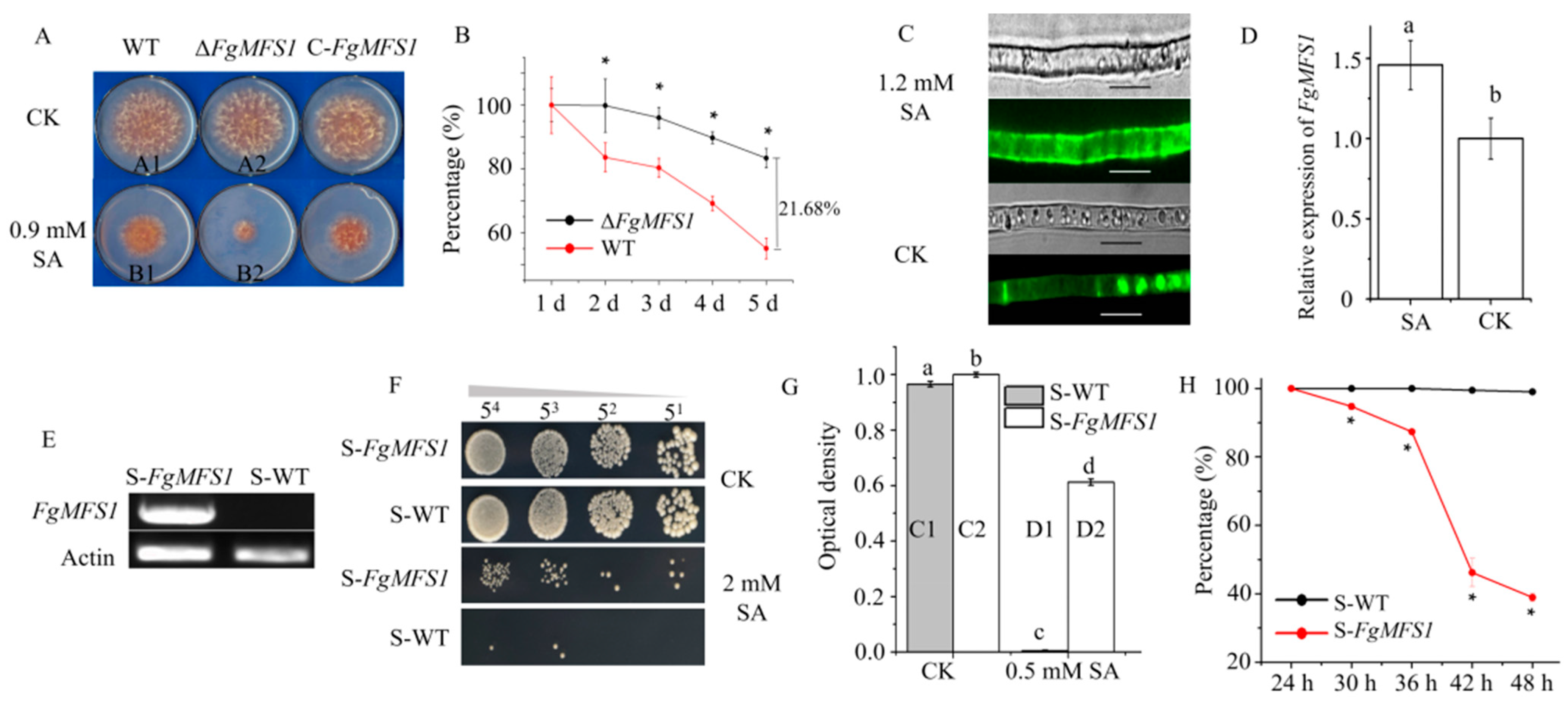 Ijms 22 08497 g005 550