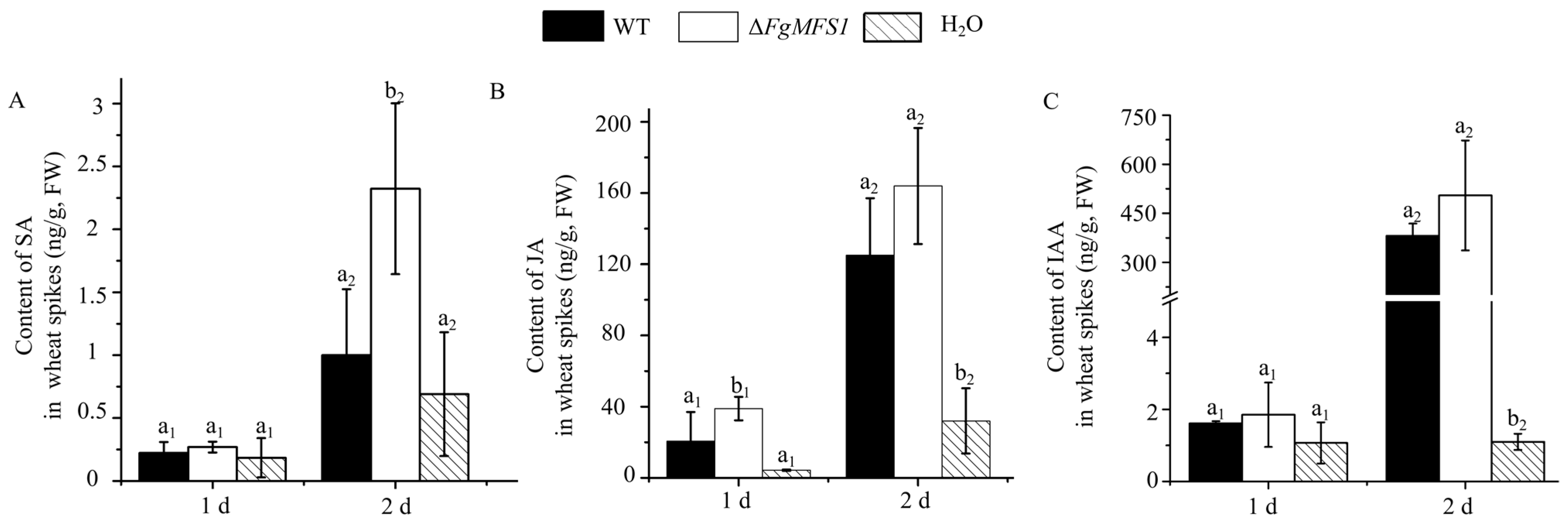 Ijms 22 08497 g007 550