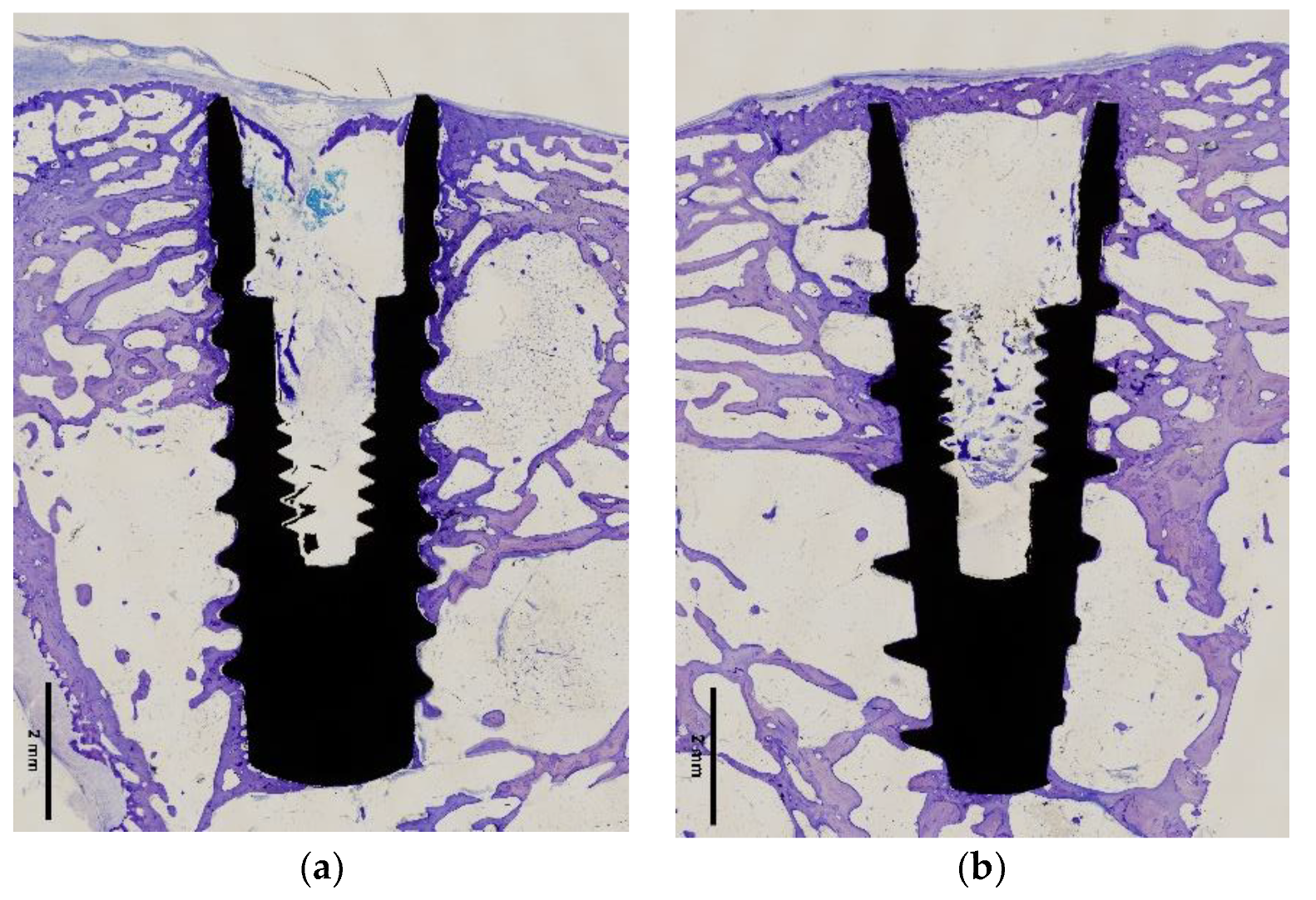 Ijms 22 08507 g006 550