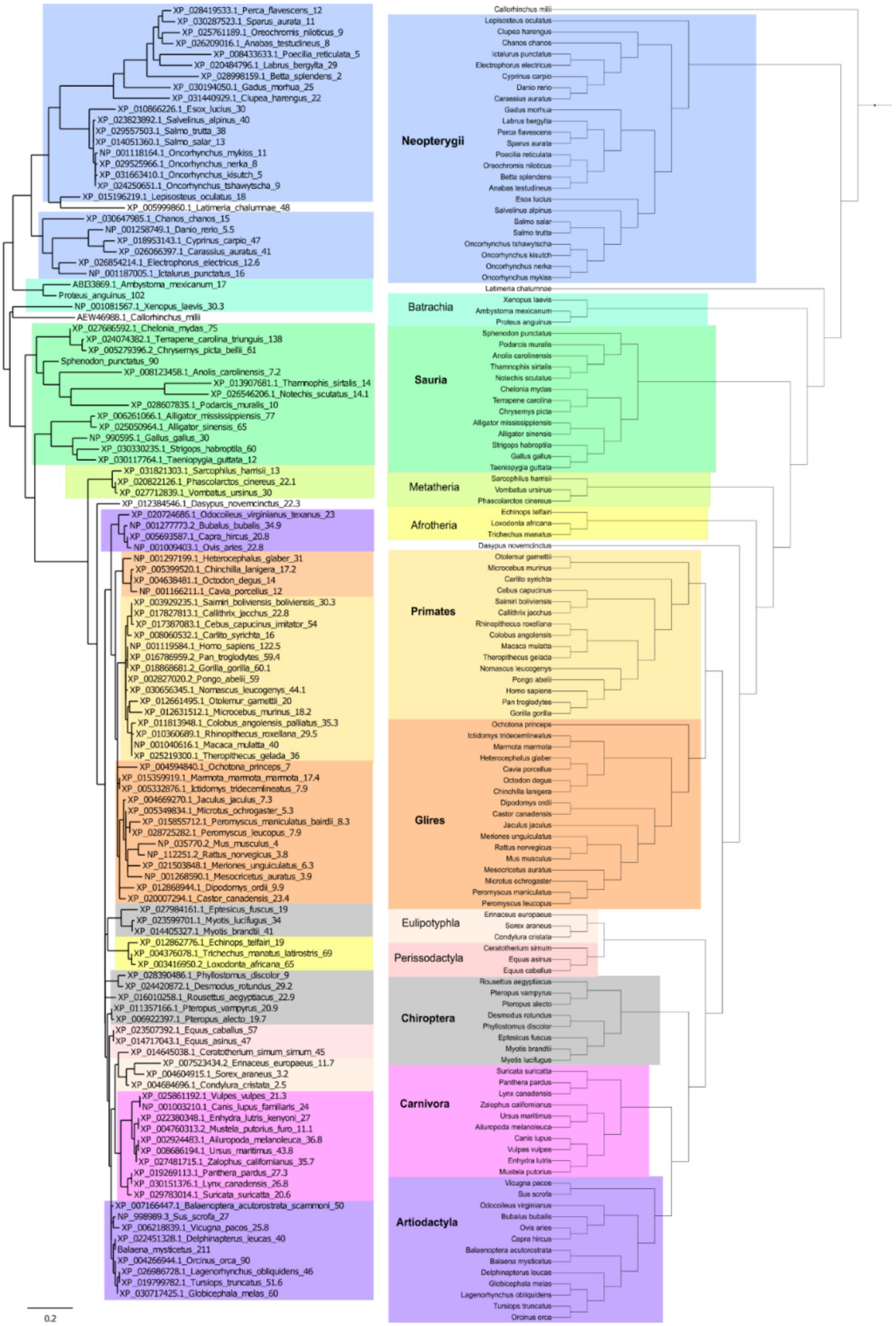 Ijms 22 08512 g005 Ijms 22 08512 g005