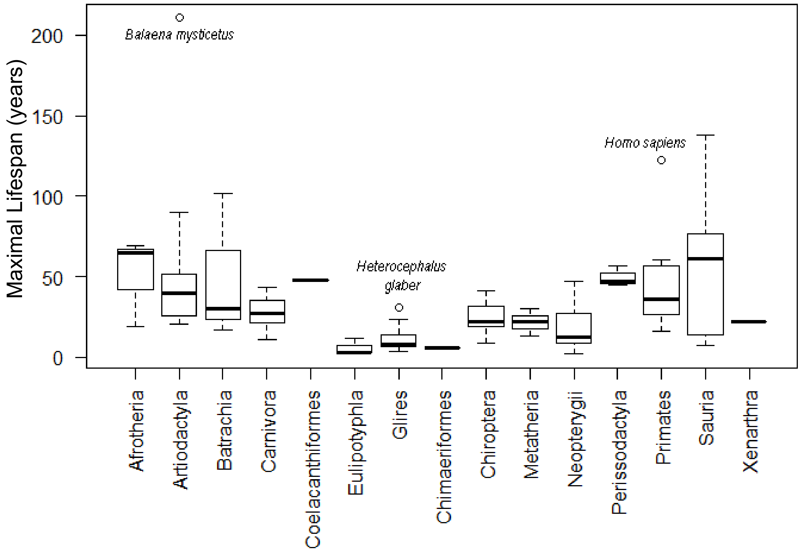 Ijms 22 08512 g006 Ijms 22 08512 g006