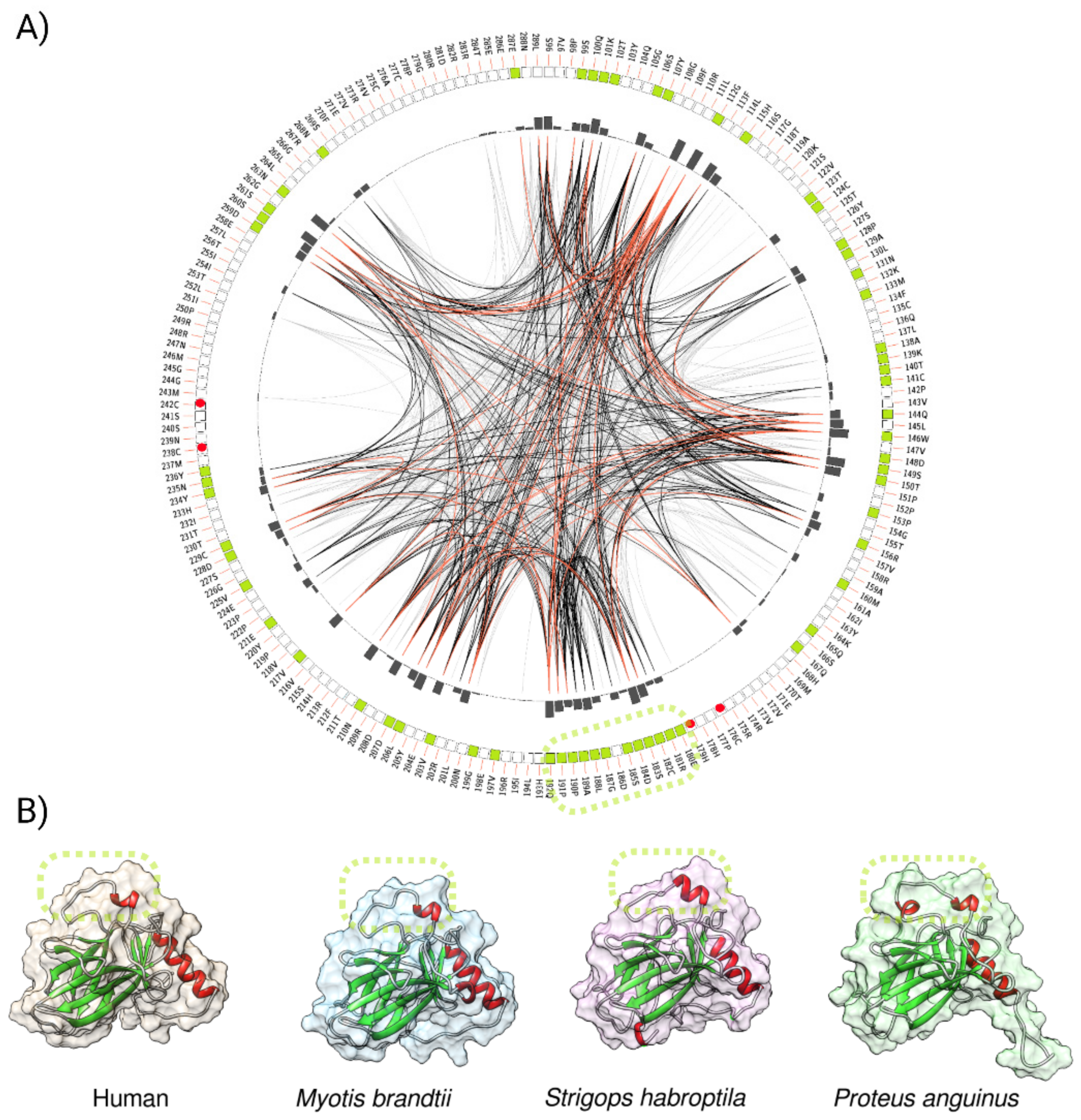 Ijms 22 08512 g008 Ijms 22 08512 g008