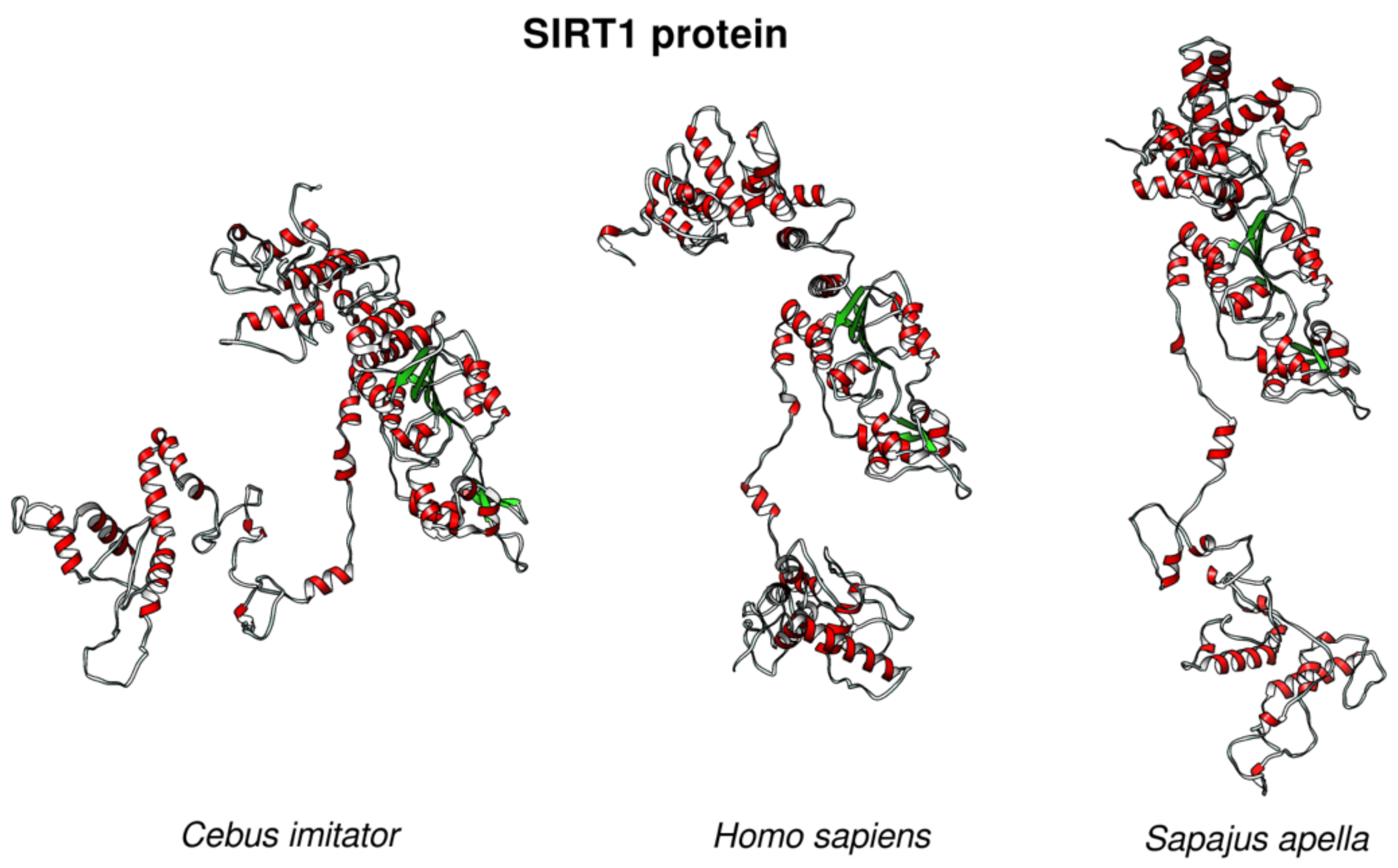 Ijms 22 08512 g009 Ijms 22 08512 g009