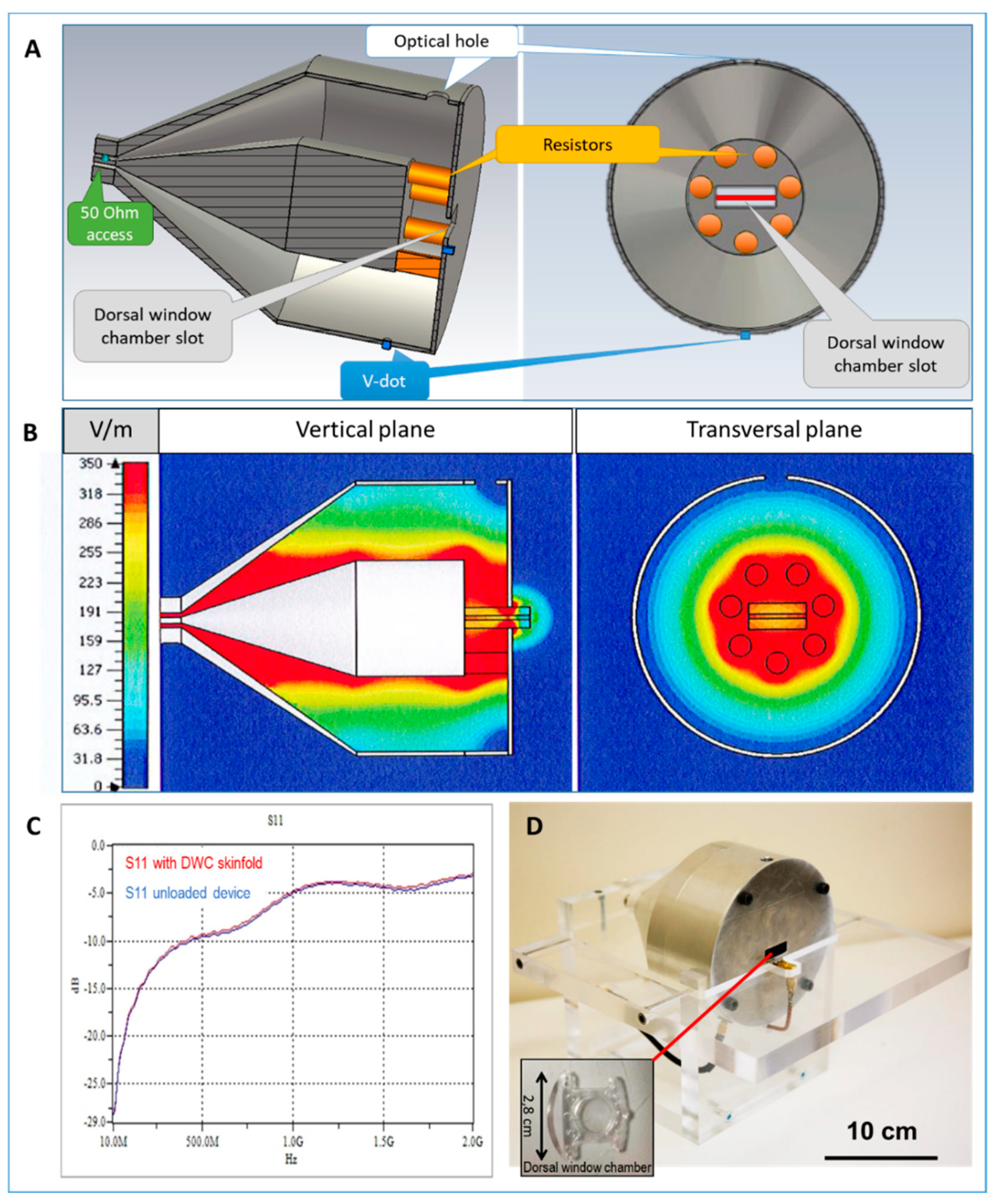 Ijms 22 08516 g002 550