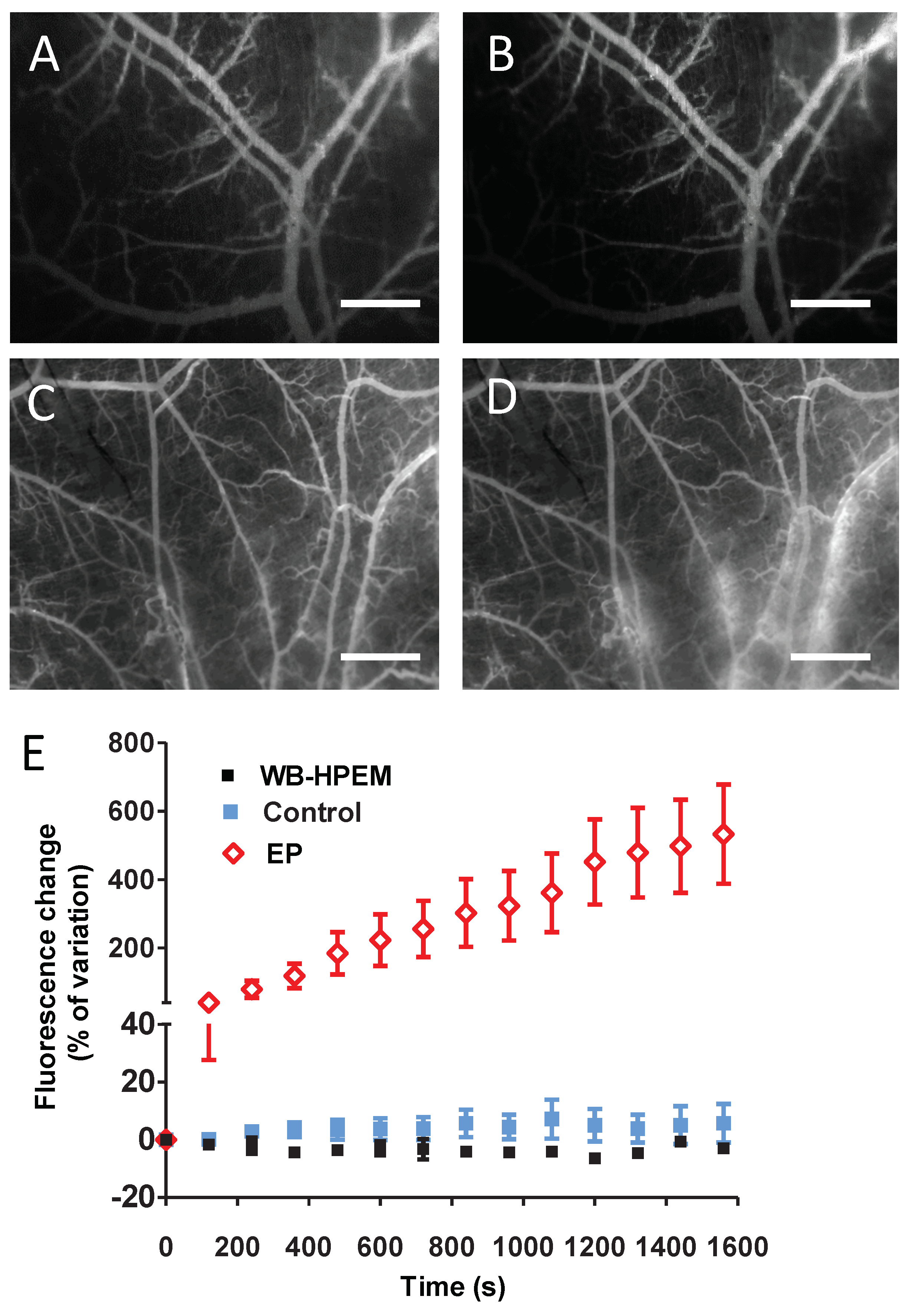 Ijms 22 08516 g005 550