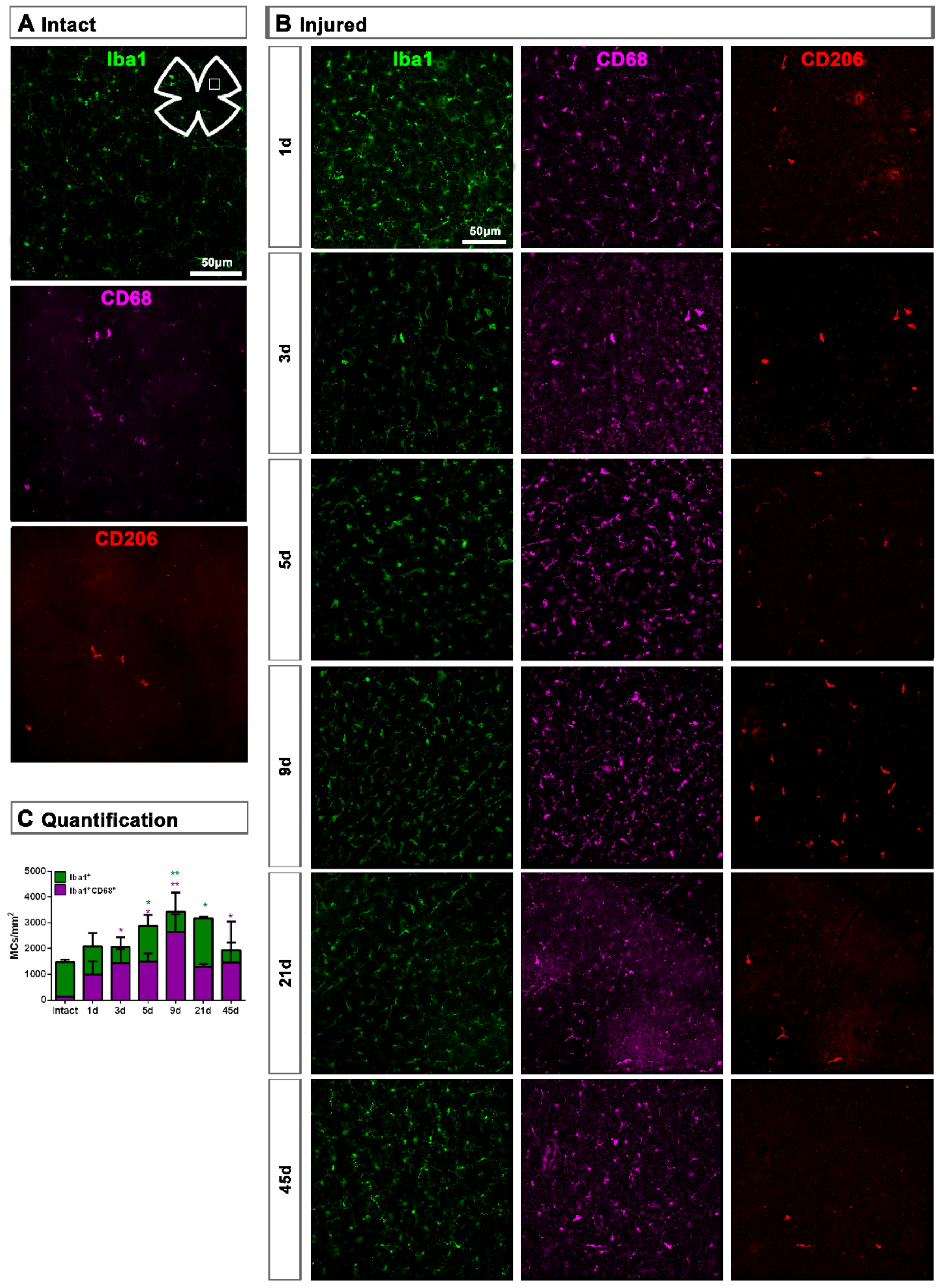 Ijms 22 08517 g003 550