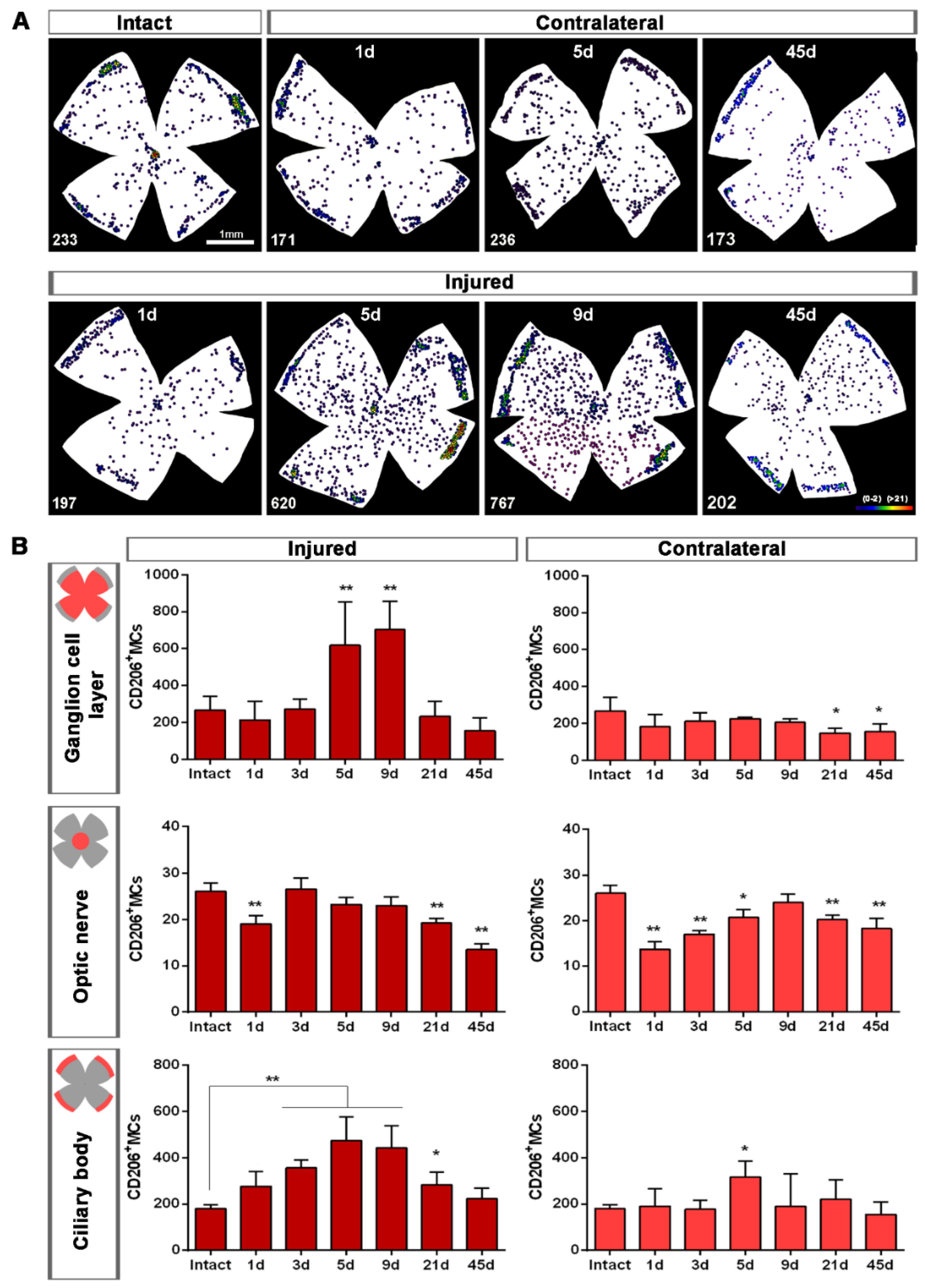 Ijms 22 08517 g004 550