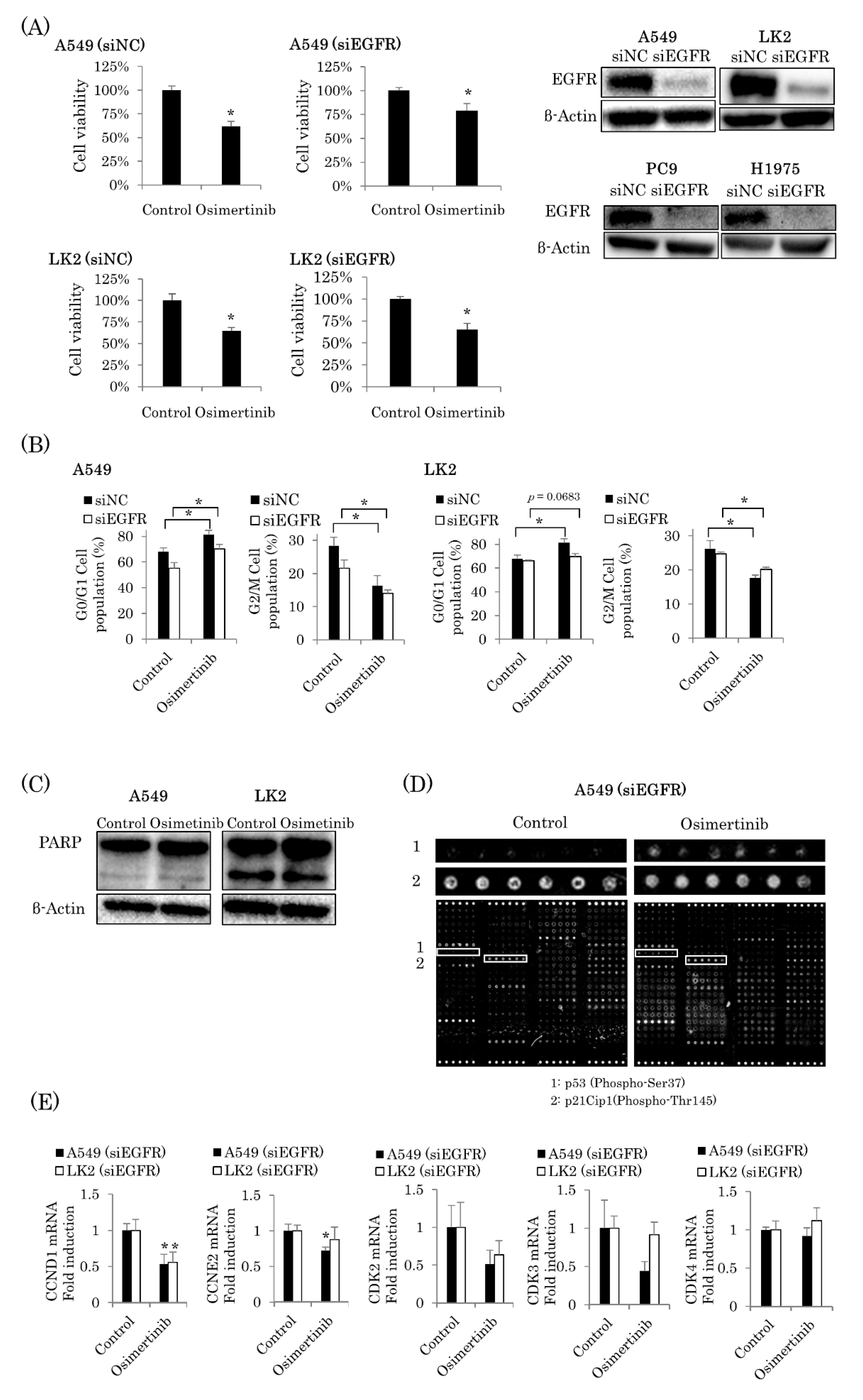 Ijms 22 08522 g002 Ijms 22 08522 g002