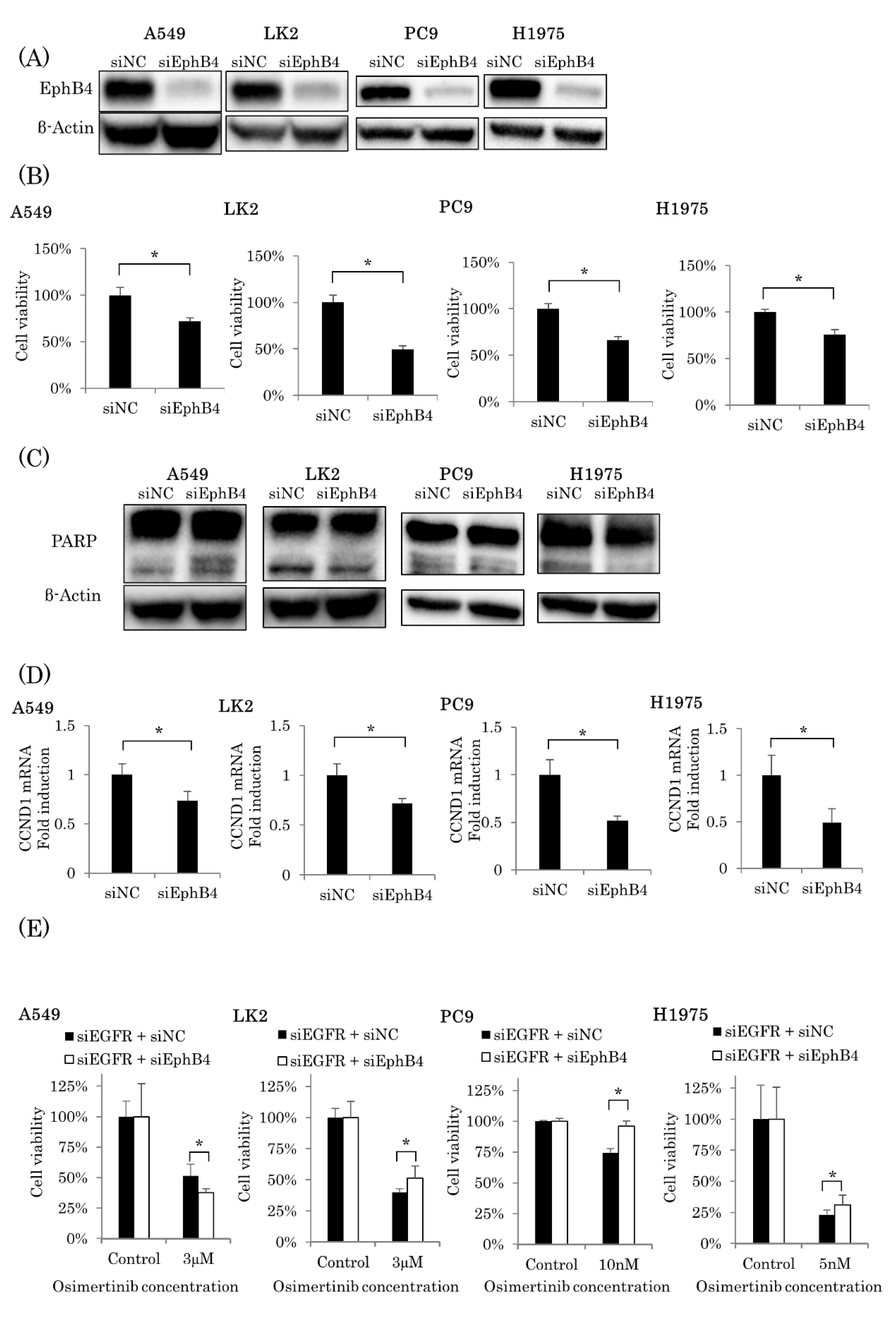 Ijms 22 08522 g004 Ijms 22 08522 g004