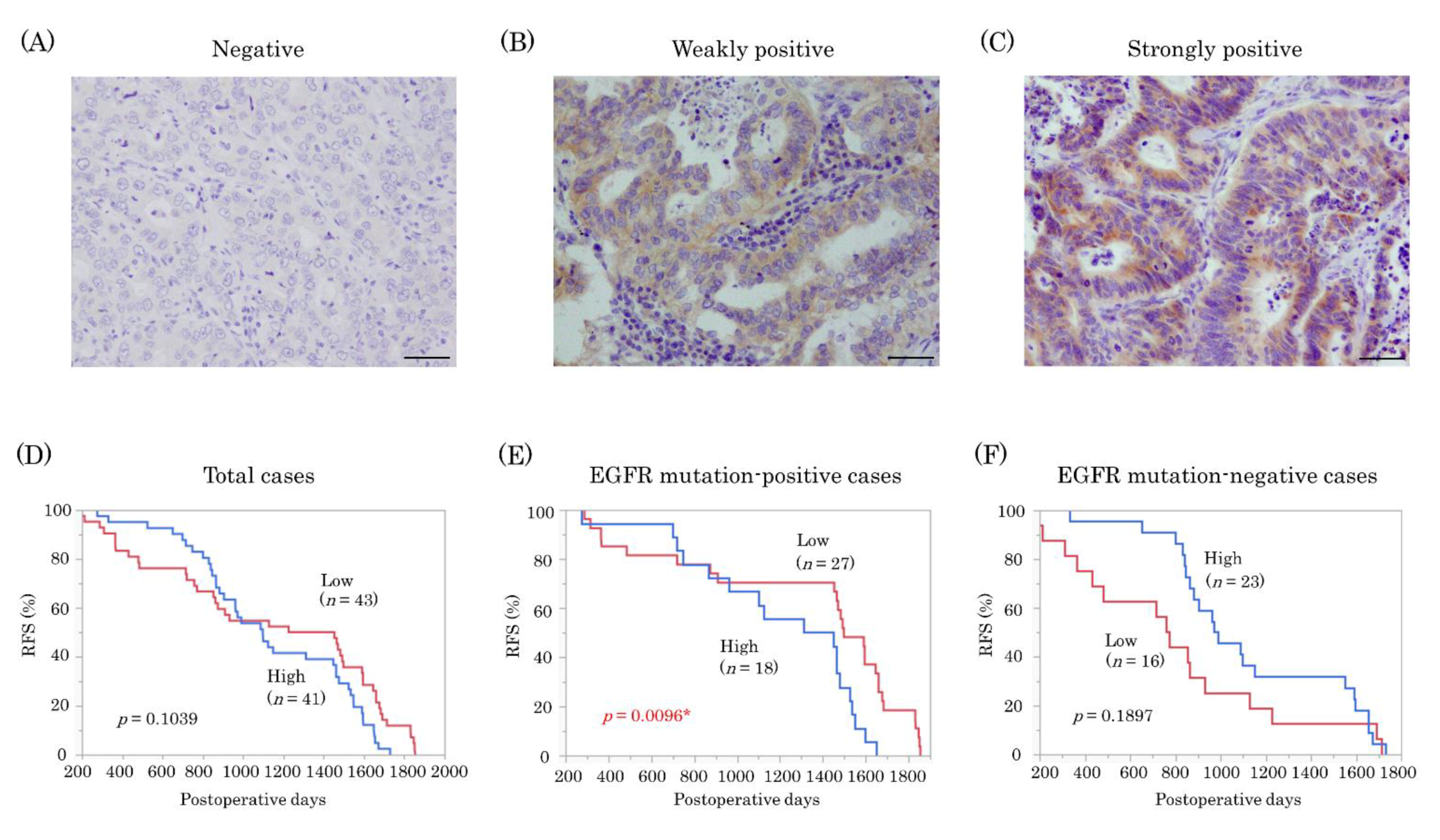 Ijms 22 08522 g005 Ijms 22 08522 g005