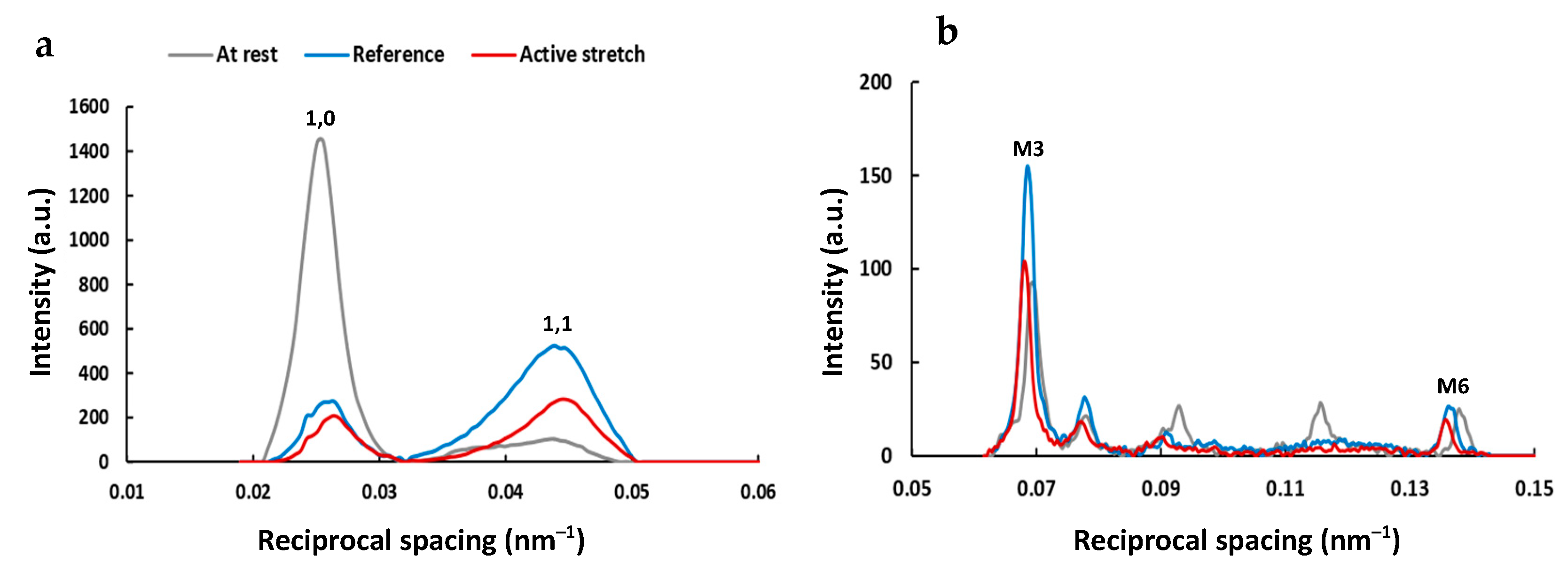 Ijms 22 08526 g001 Ijms 22 08526 g001