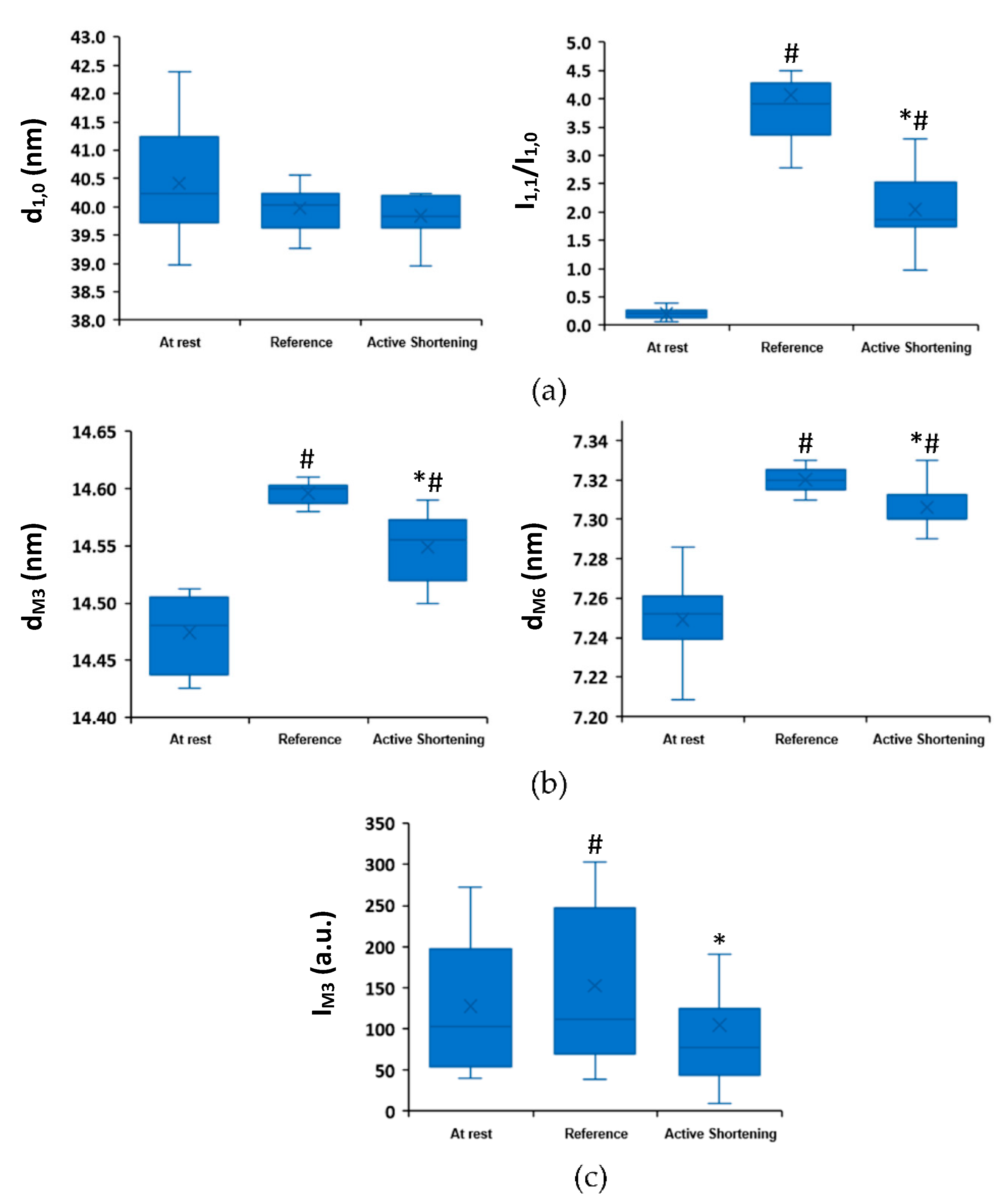 Ijms 22 08526 g004 Ijms 22 08526 g004