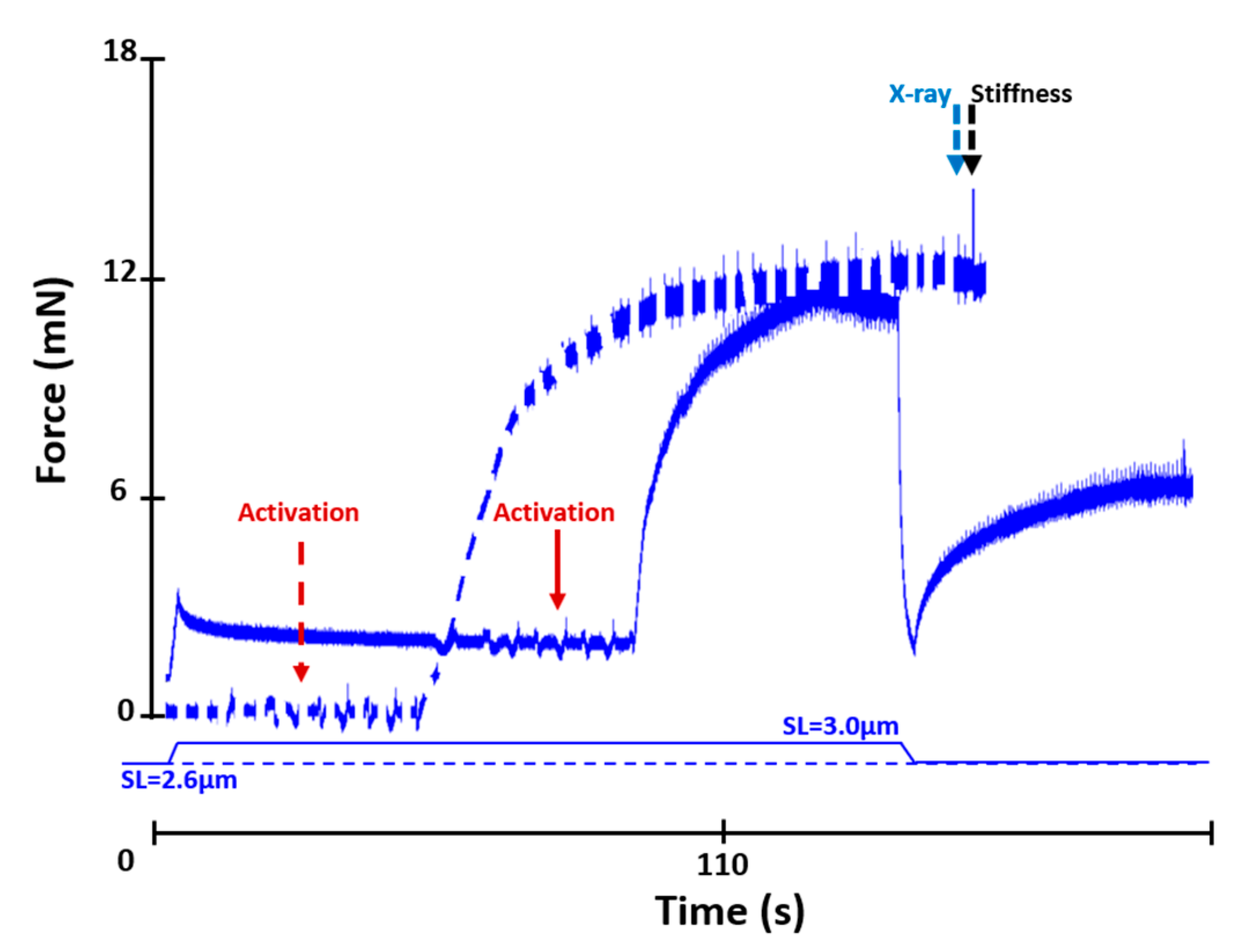Ijms 22 08526 g006 Ijms 22 08526 g006