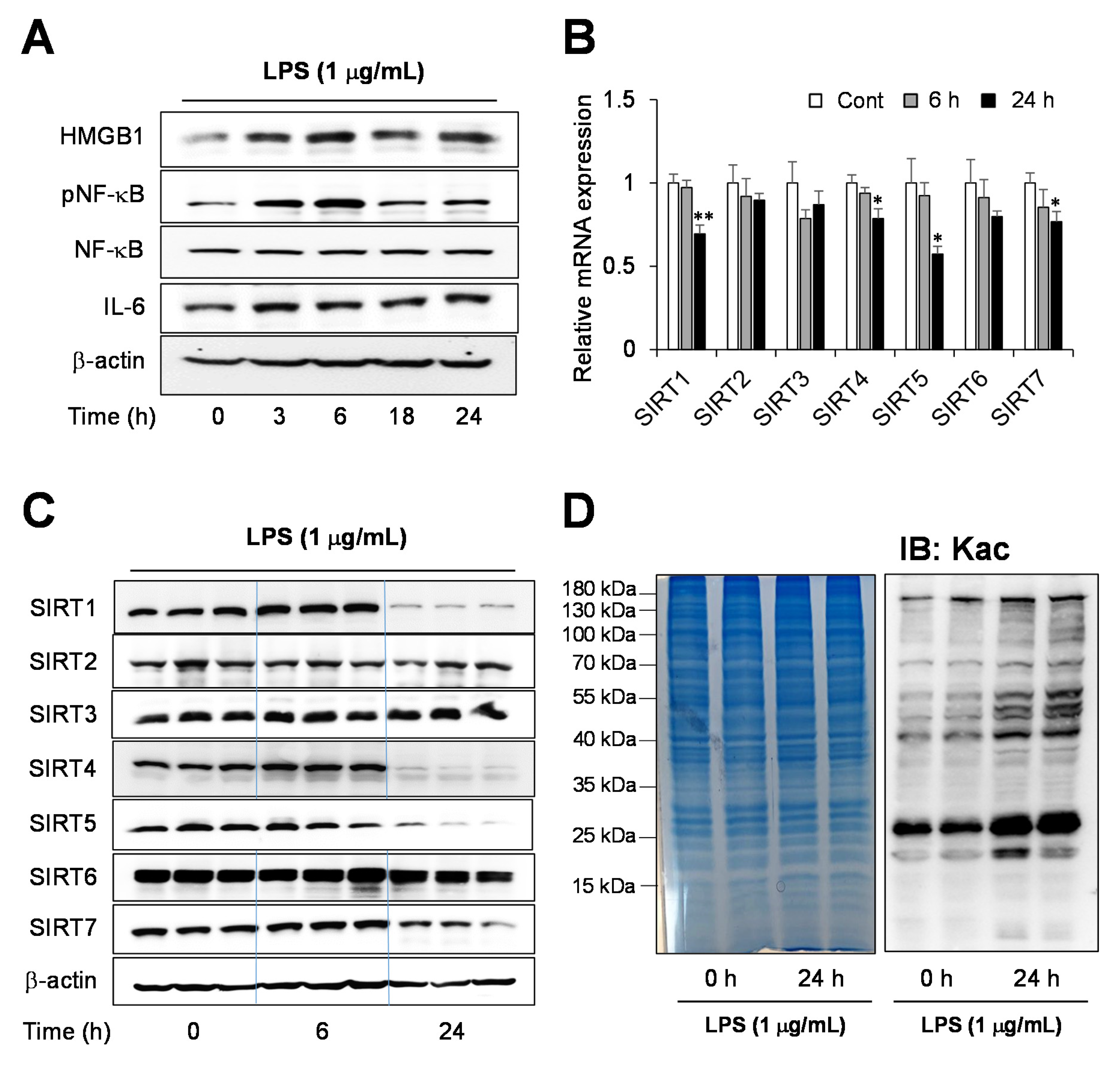 Ijms 22 08529 g001 550