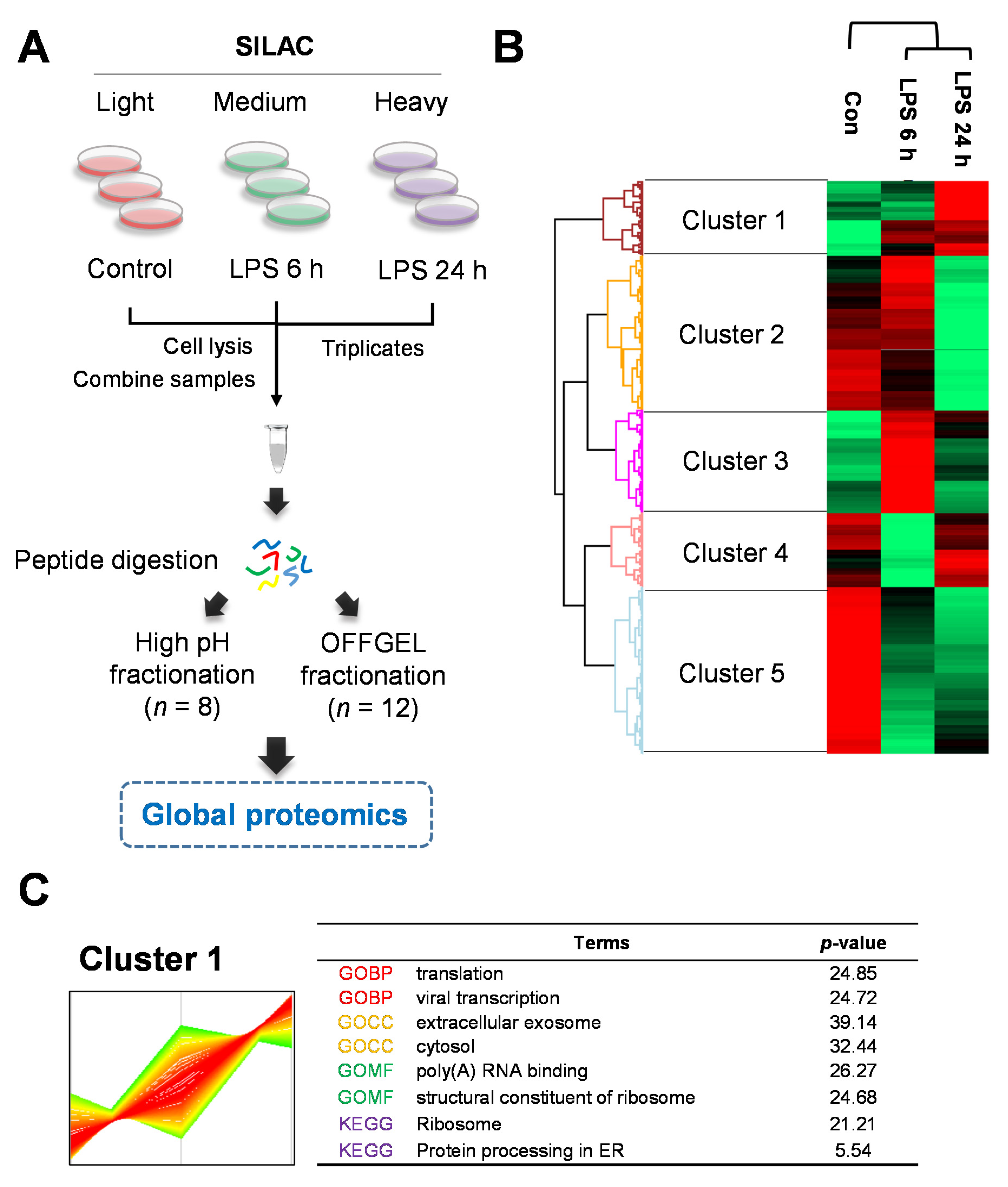 Ijms 22 08529 g002 550