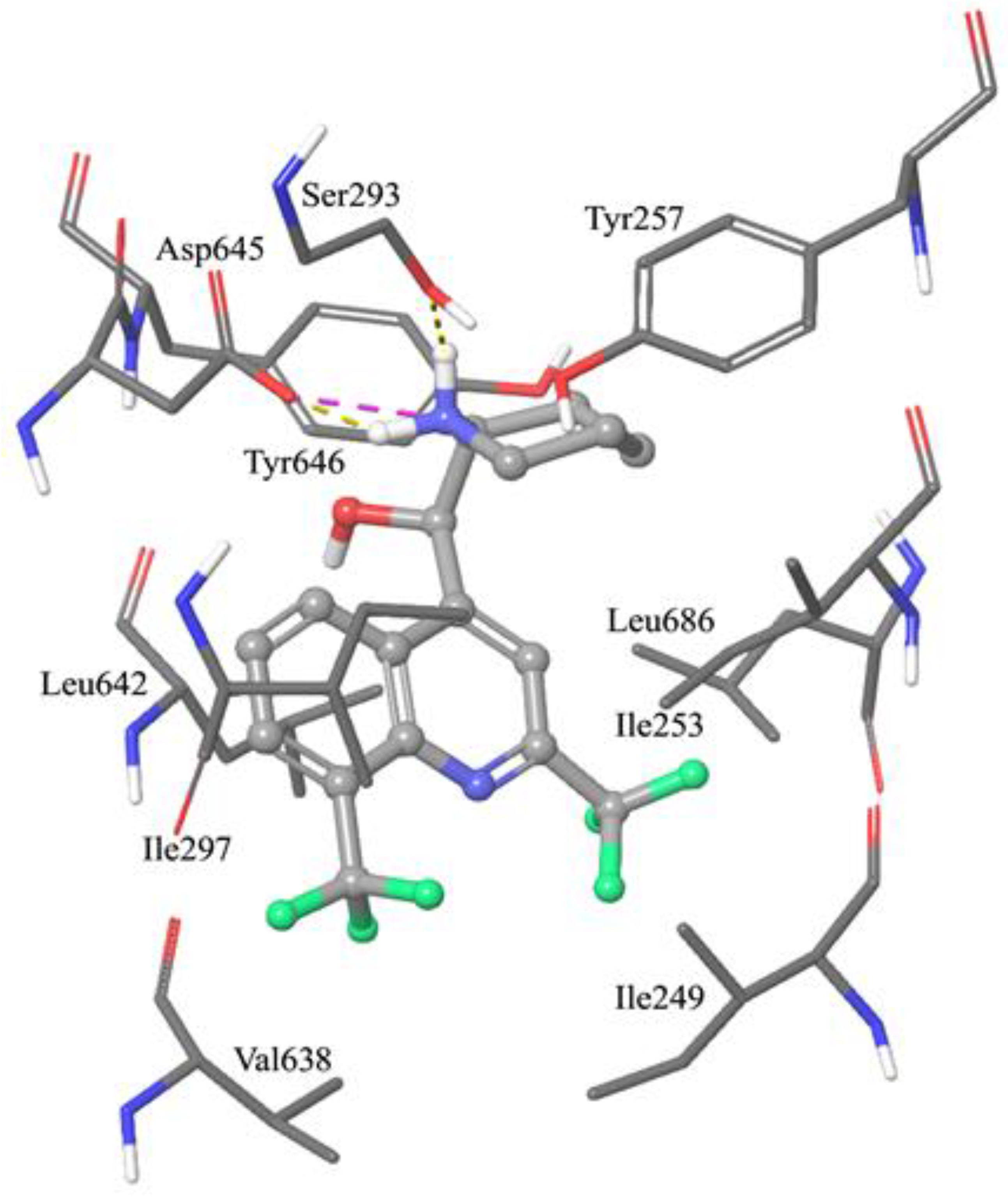 Ijms 22 08533 g004 550