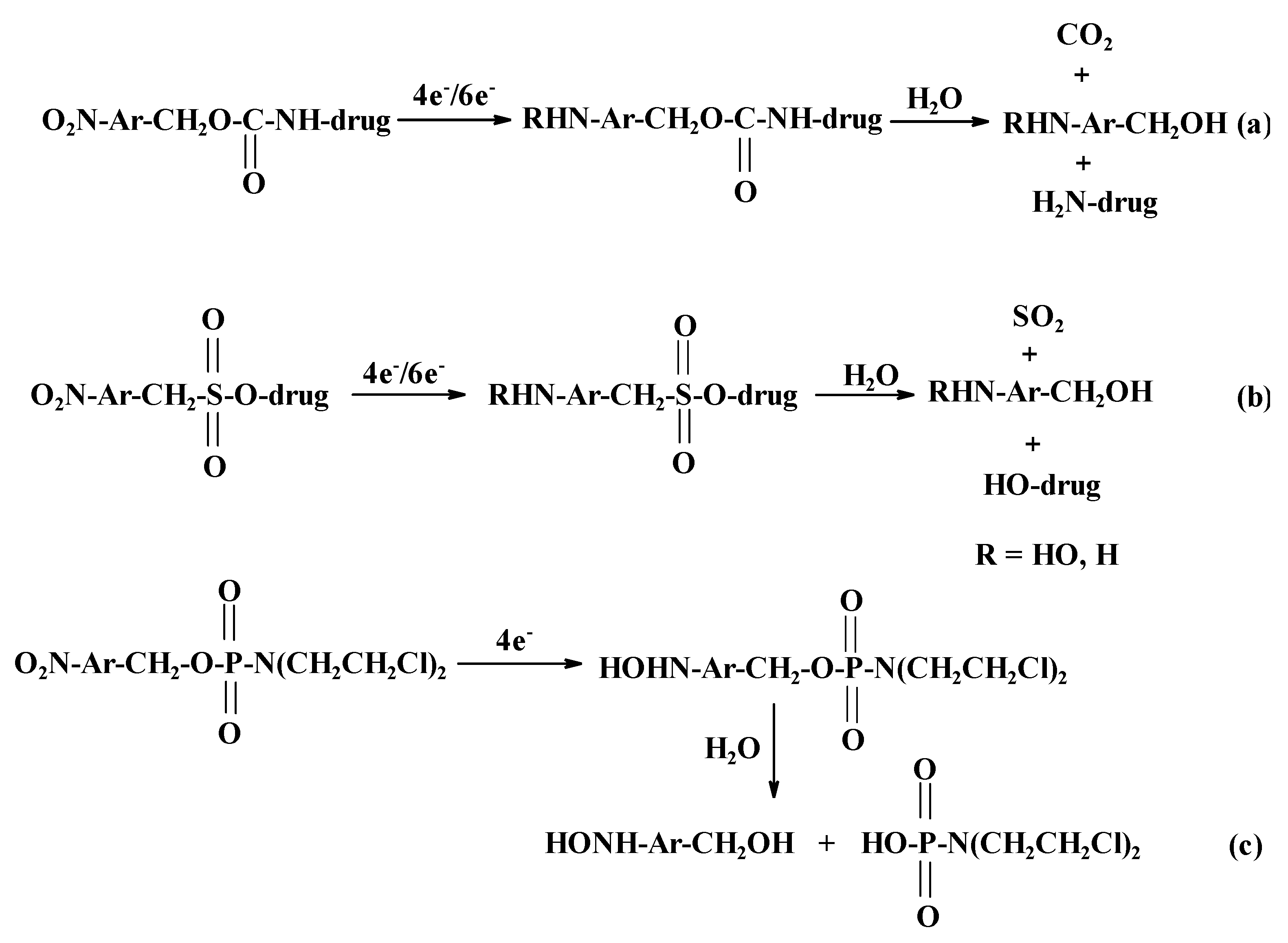 Ijms 22 08534 sch001