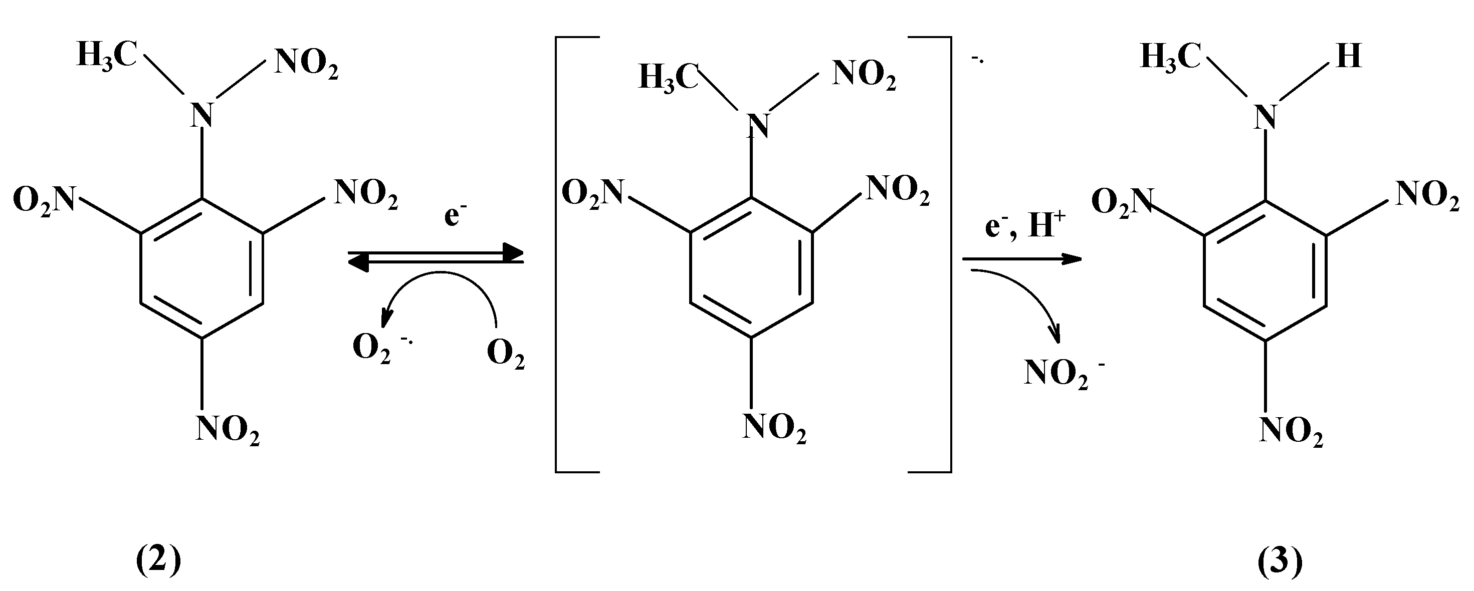 Ijms 22 08534 sch003