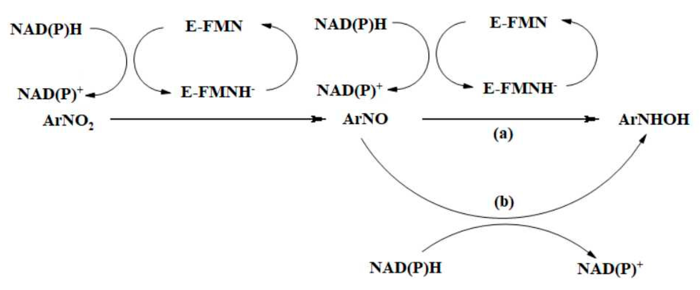 Ijms 22 08534 sch004