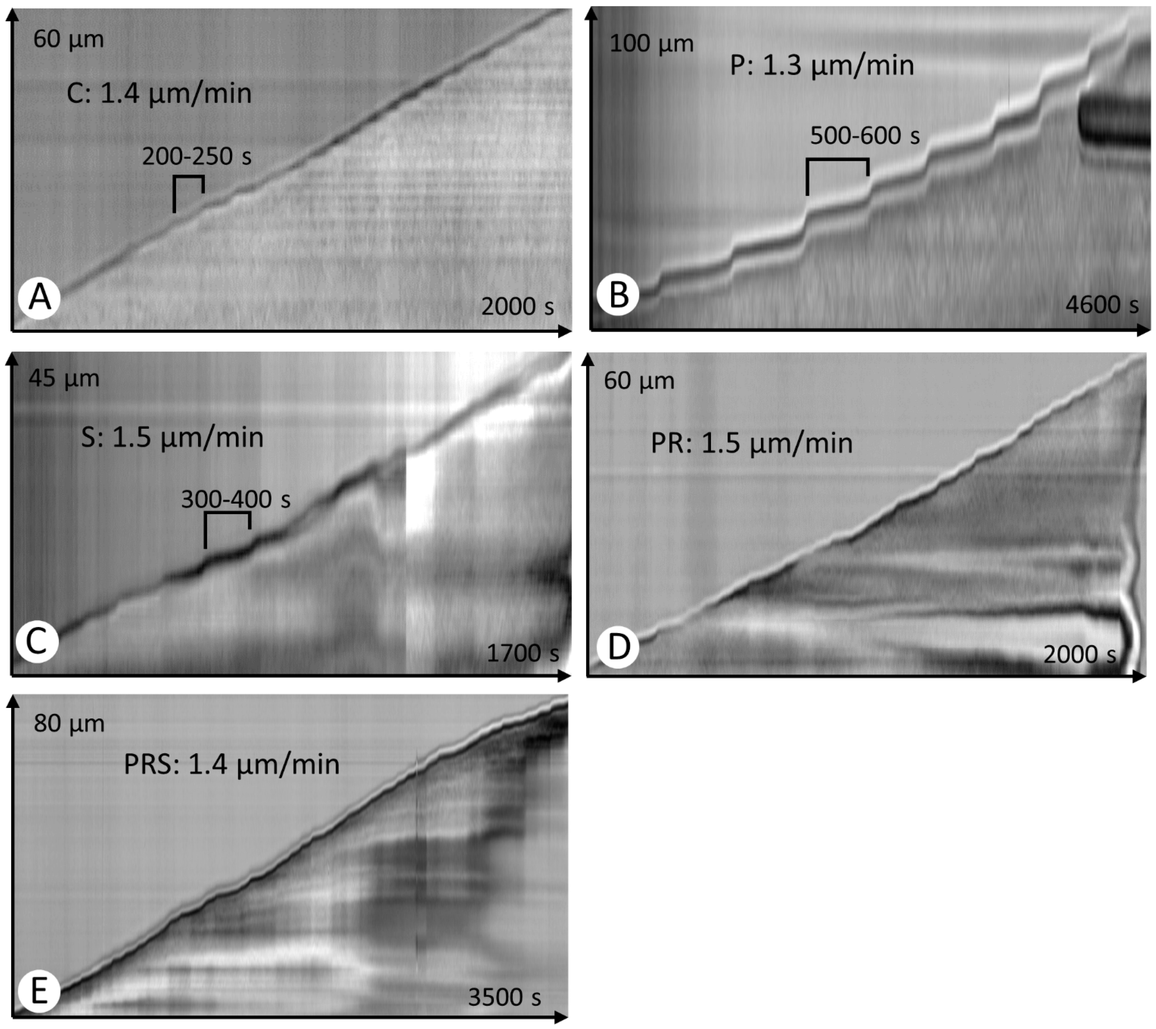 Ijms 22 08535 g002 550