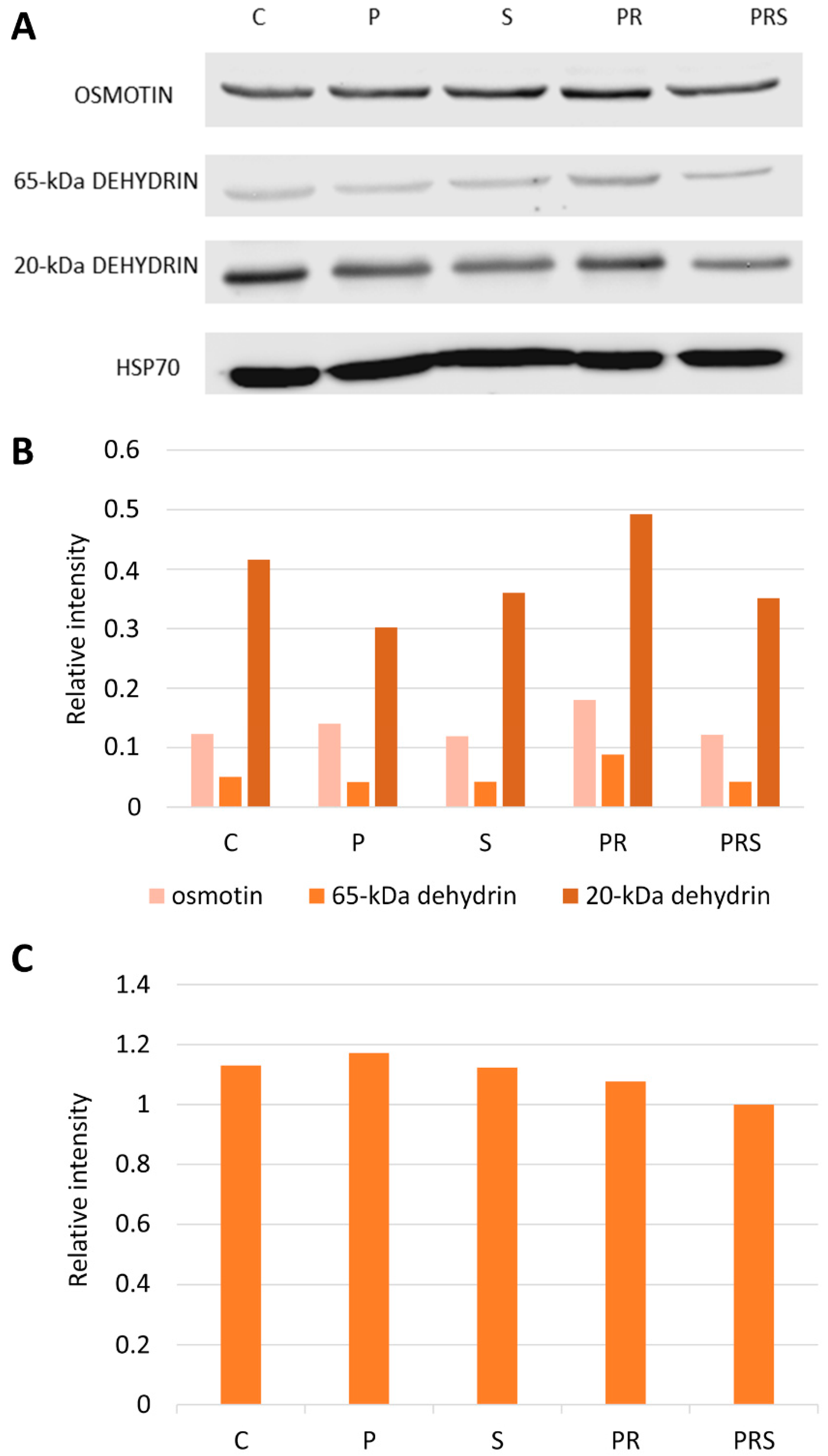 Ijms 22 08535 g003 550