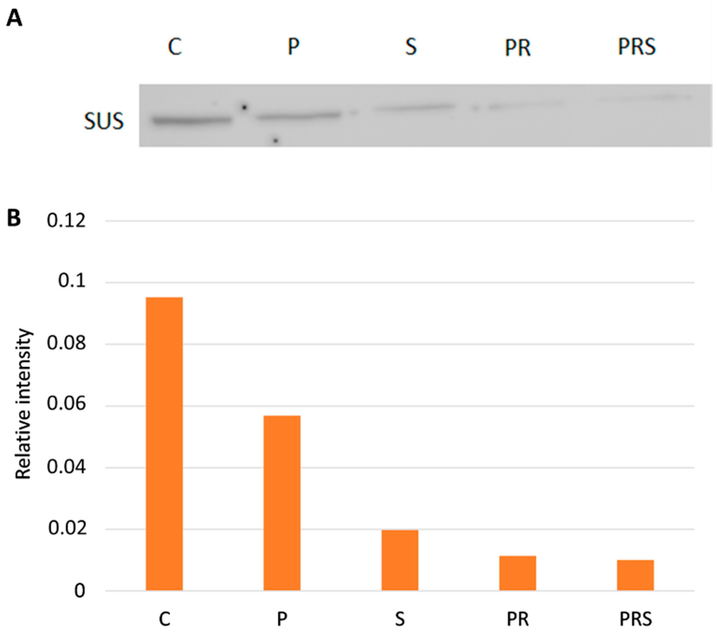 Ijms 22 08535 g005 550
