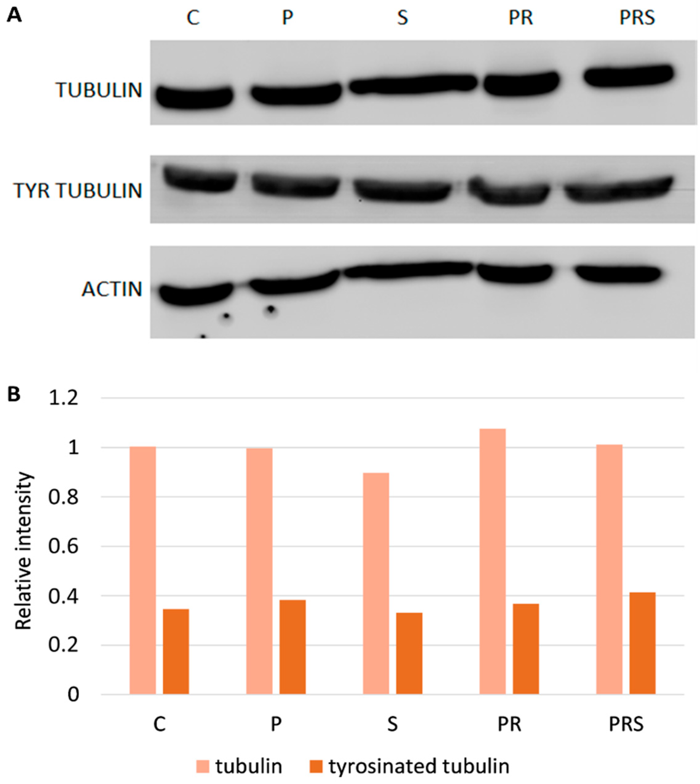 Ijms 22 08535 g008 550